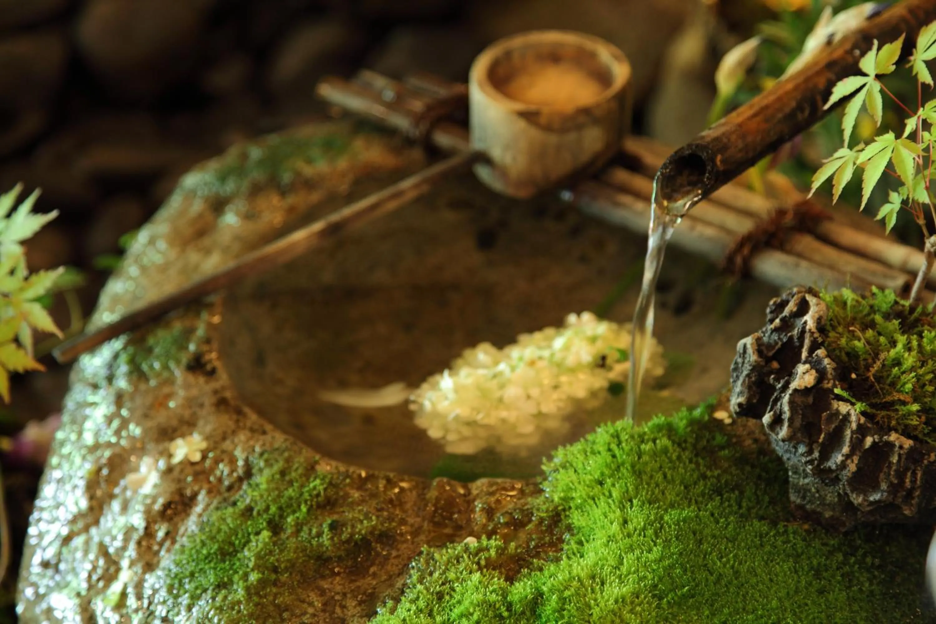 Other in Hidaji (Adult Only)