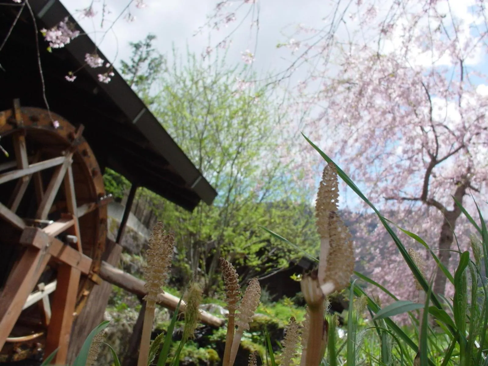 Other in Hidaji (Adult Only)