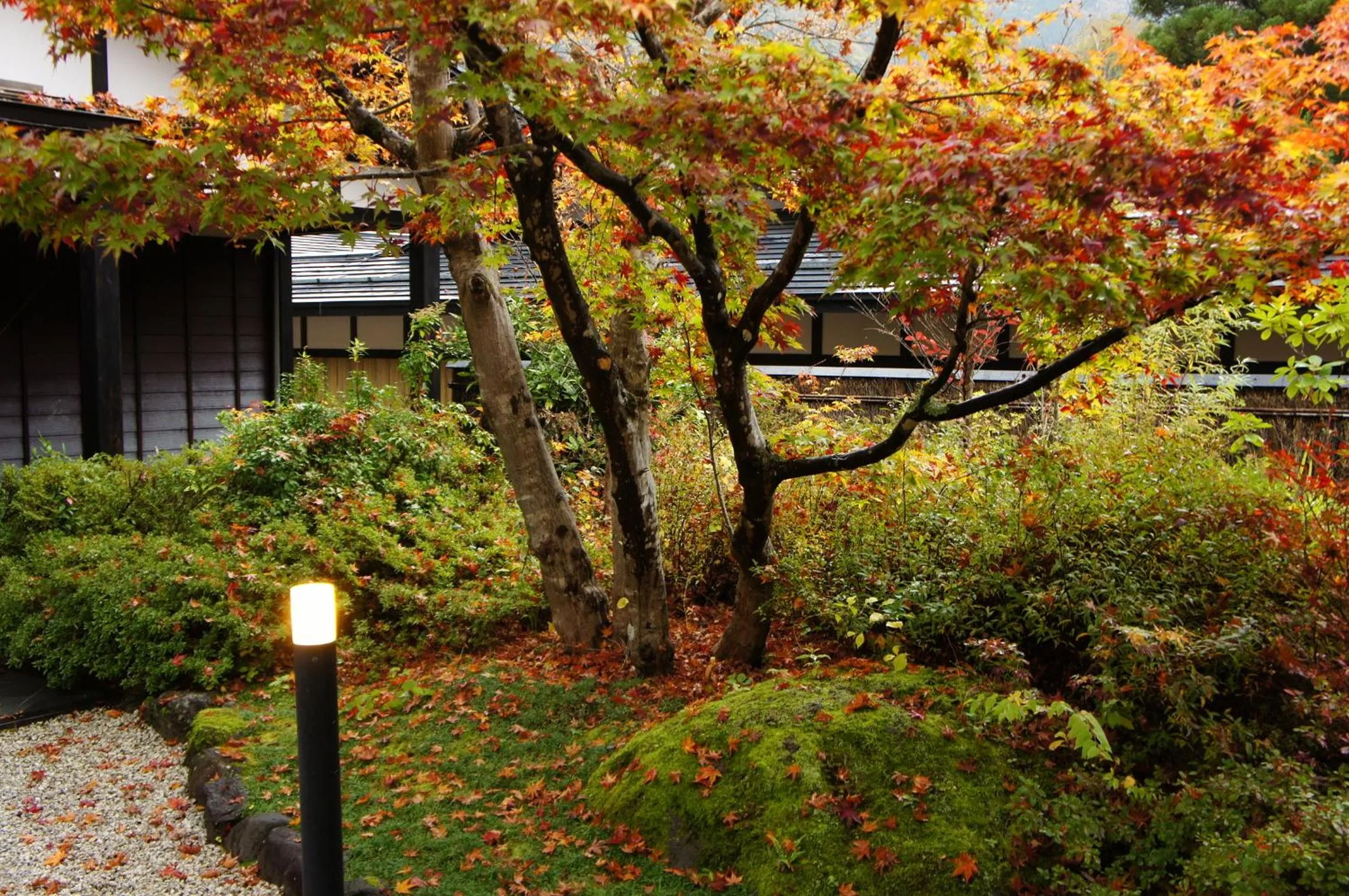 Facade/entrance in Hidaji (Adult Only)