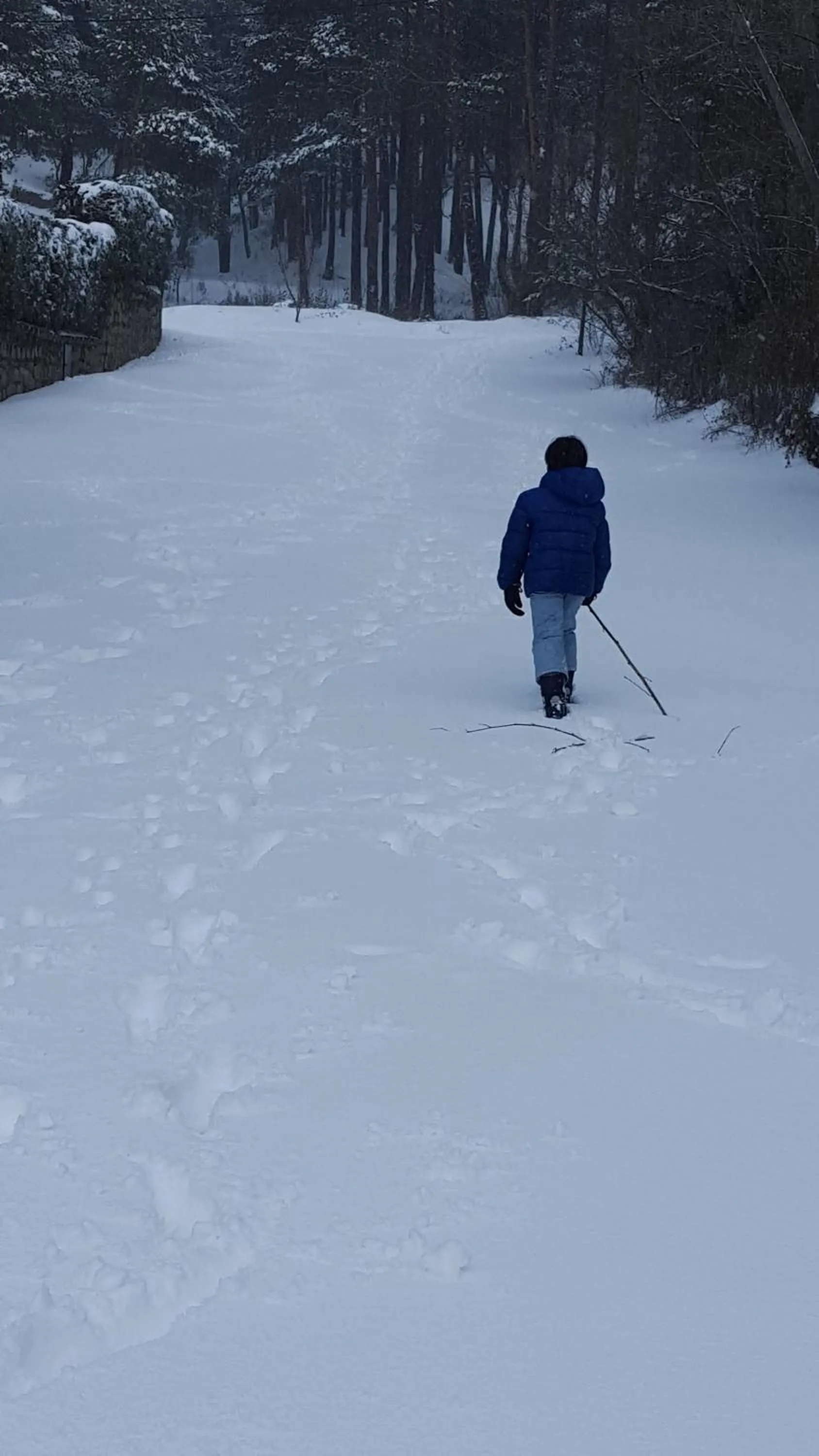 Off site in La Arbolada