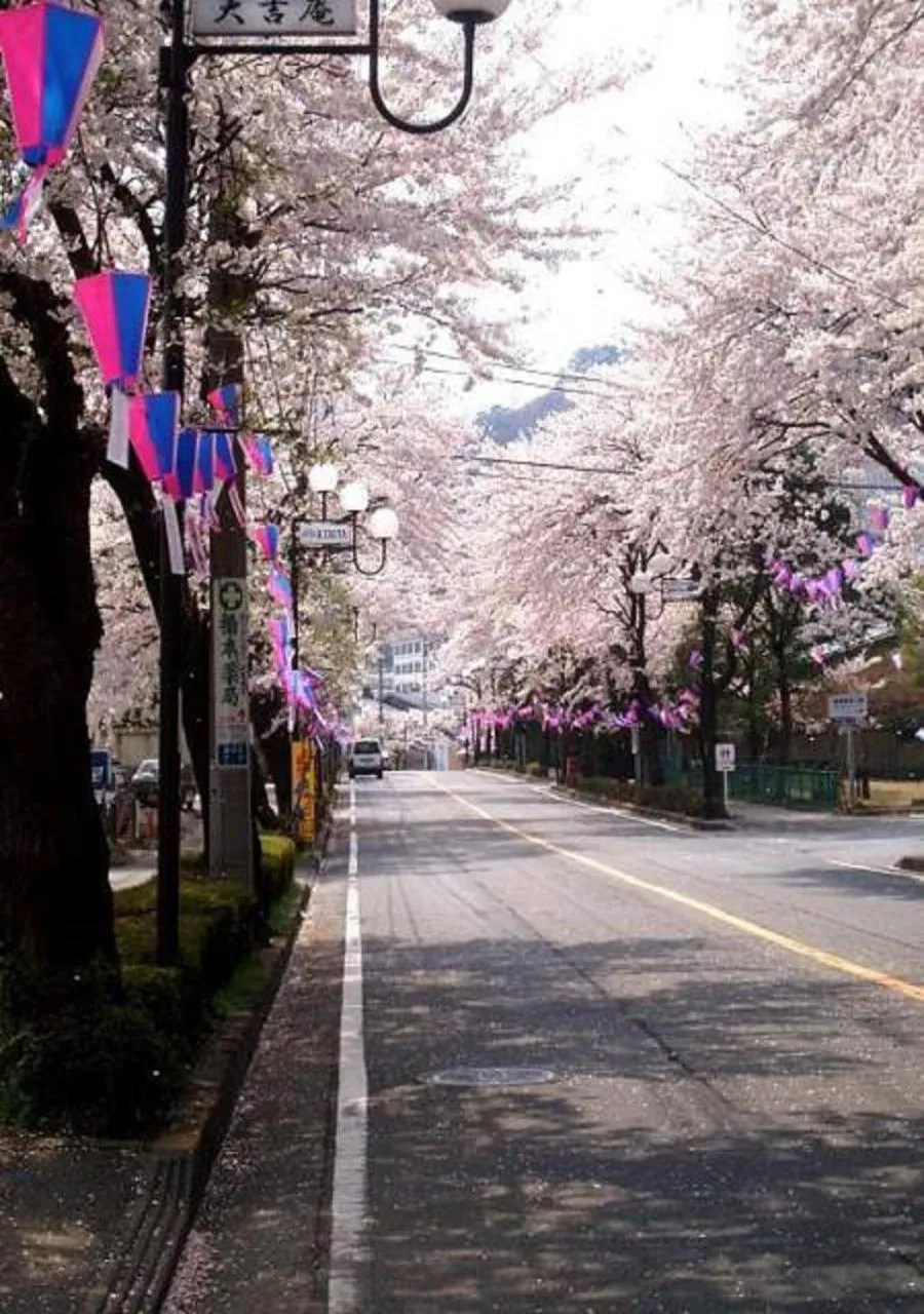 Natural landscape in Kinugawa Onsen Sanraku