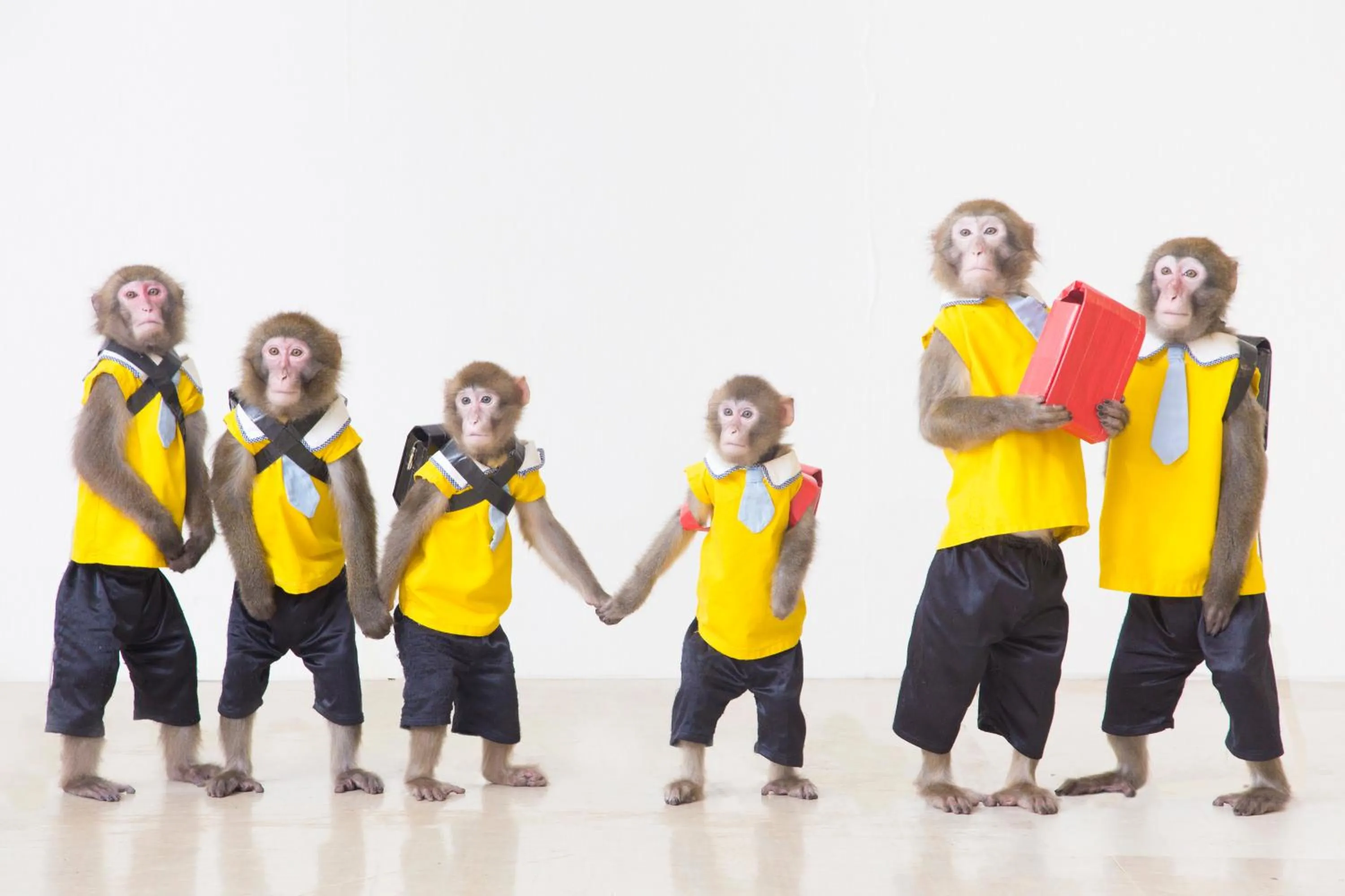 Nearby landmark in Kinugawa Onsen Sanraku
