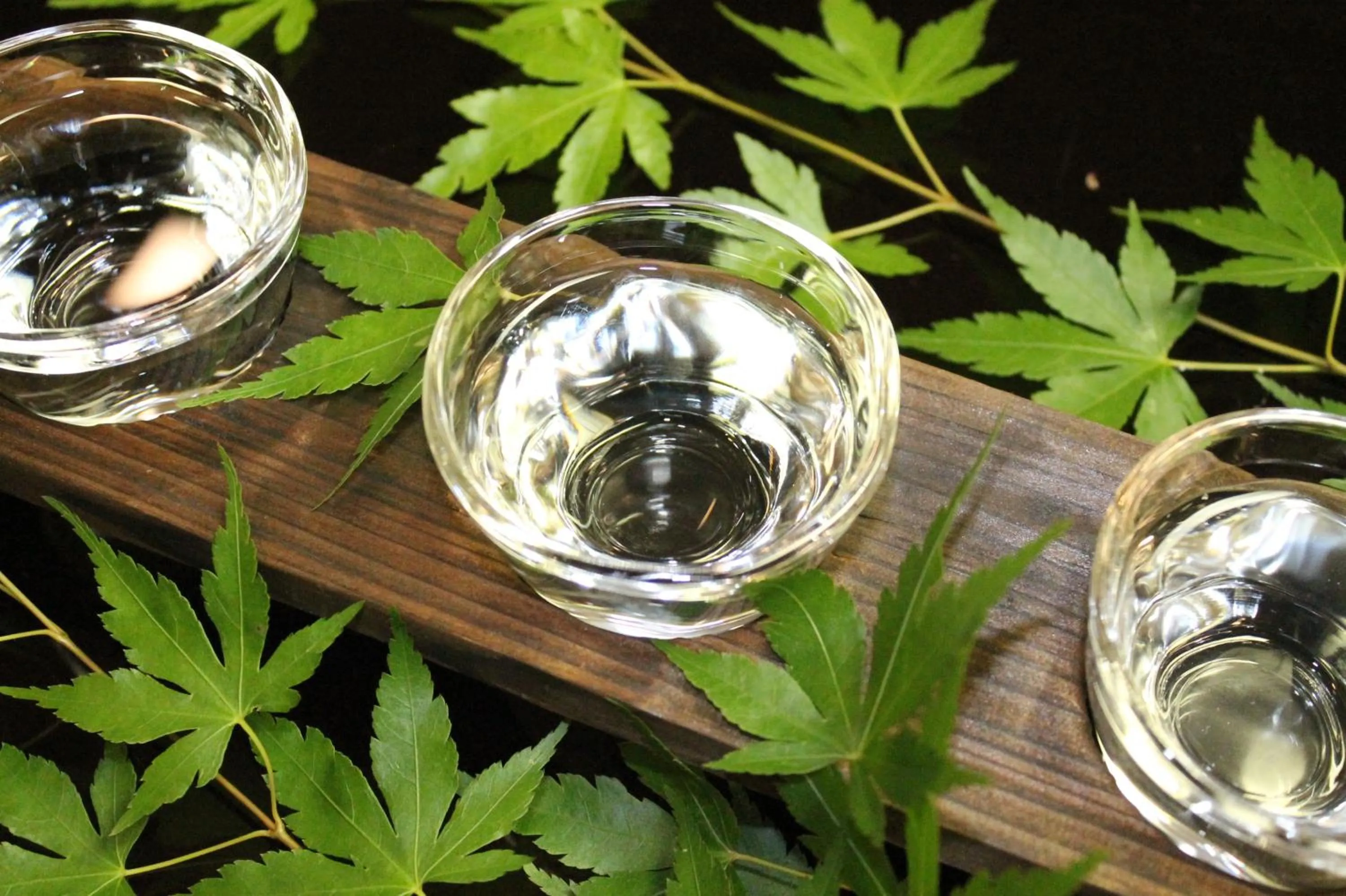 Drinks in Kinugawa Onsen Sanraku