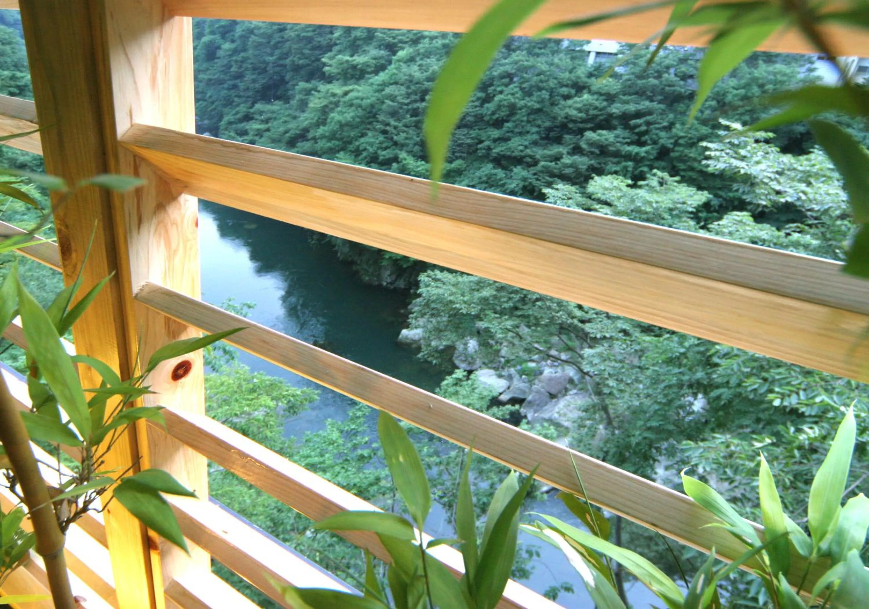 View (from property/room) in Kinugawa Onsen Sanraku