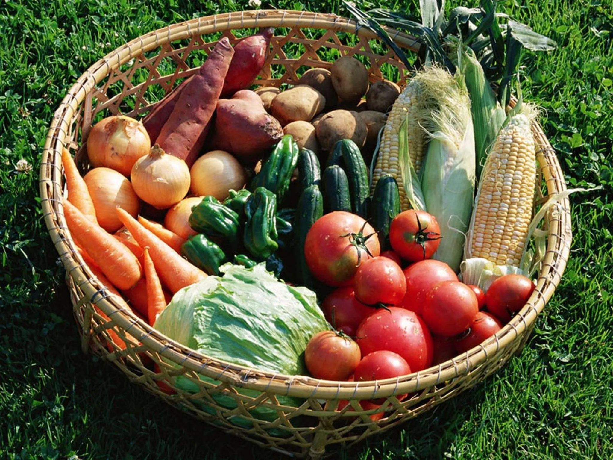 Food in Hokkaido Hotel