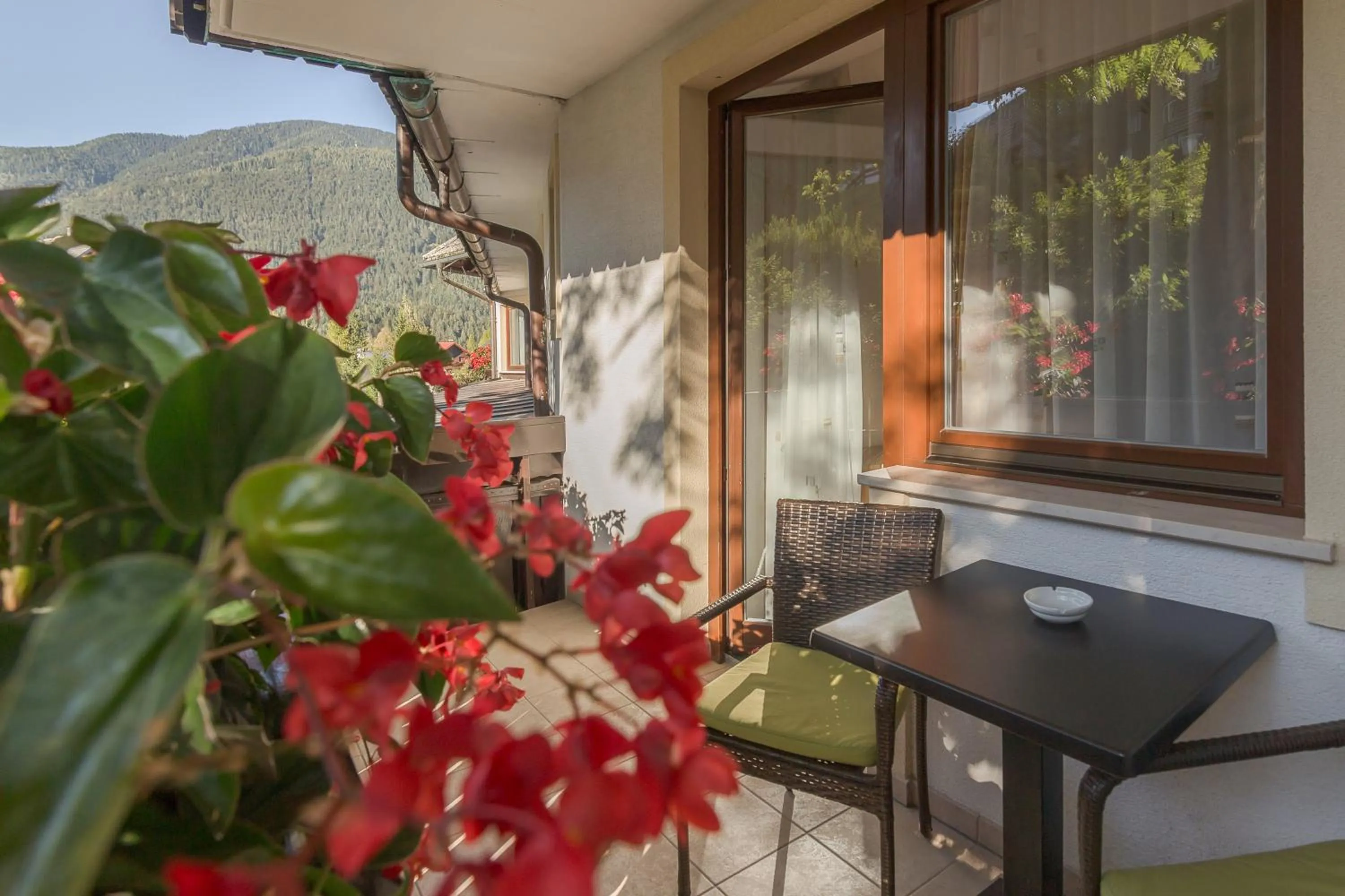 Summer in Garni Hotel Miklič