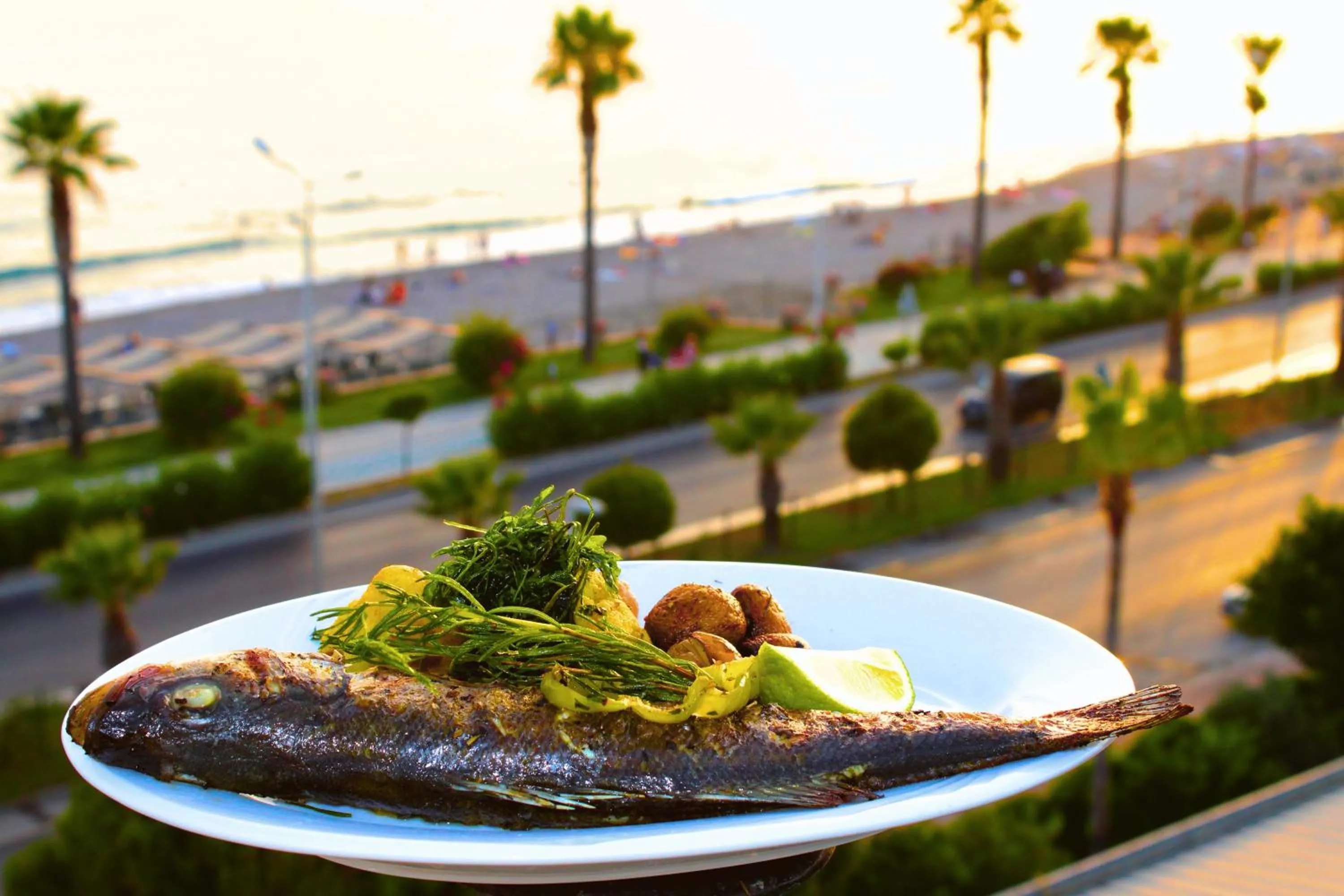 Dinner in Senza Grand Santana Hotel - Ultra All Inclusive