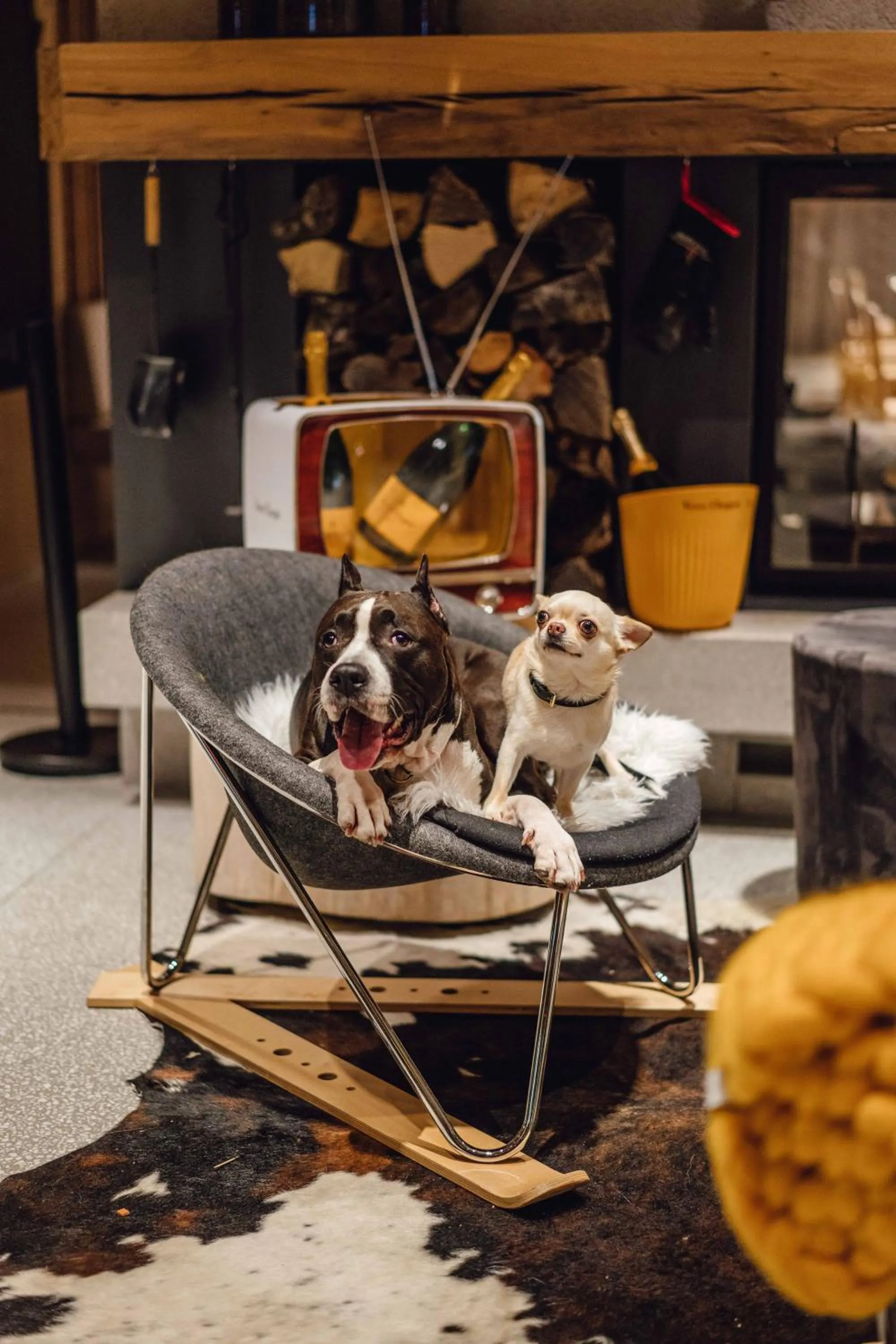Lobby or reception in Hotel Bohinj