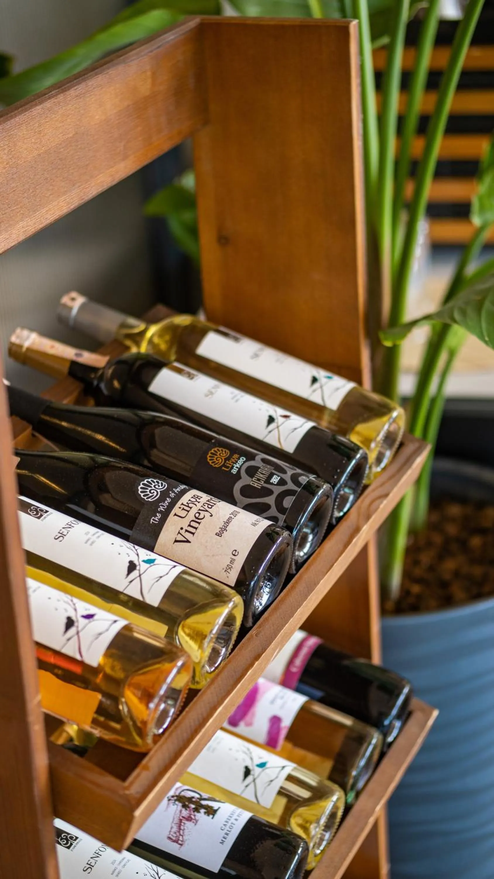 Lounge or bar in Heritage by Cimen Hotel