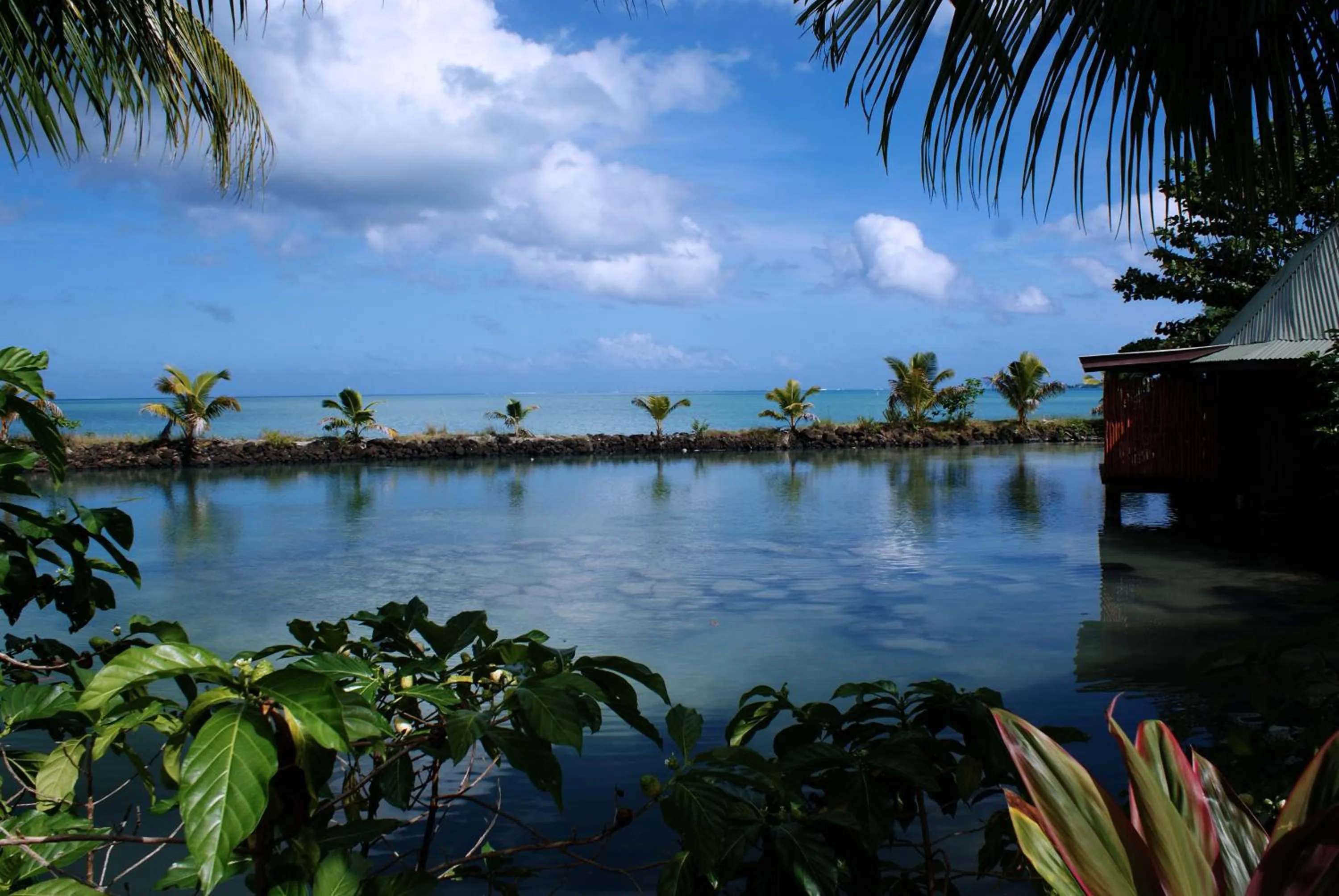 View (from property/room) in Le Vasa Resort
