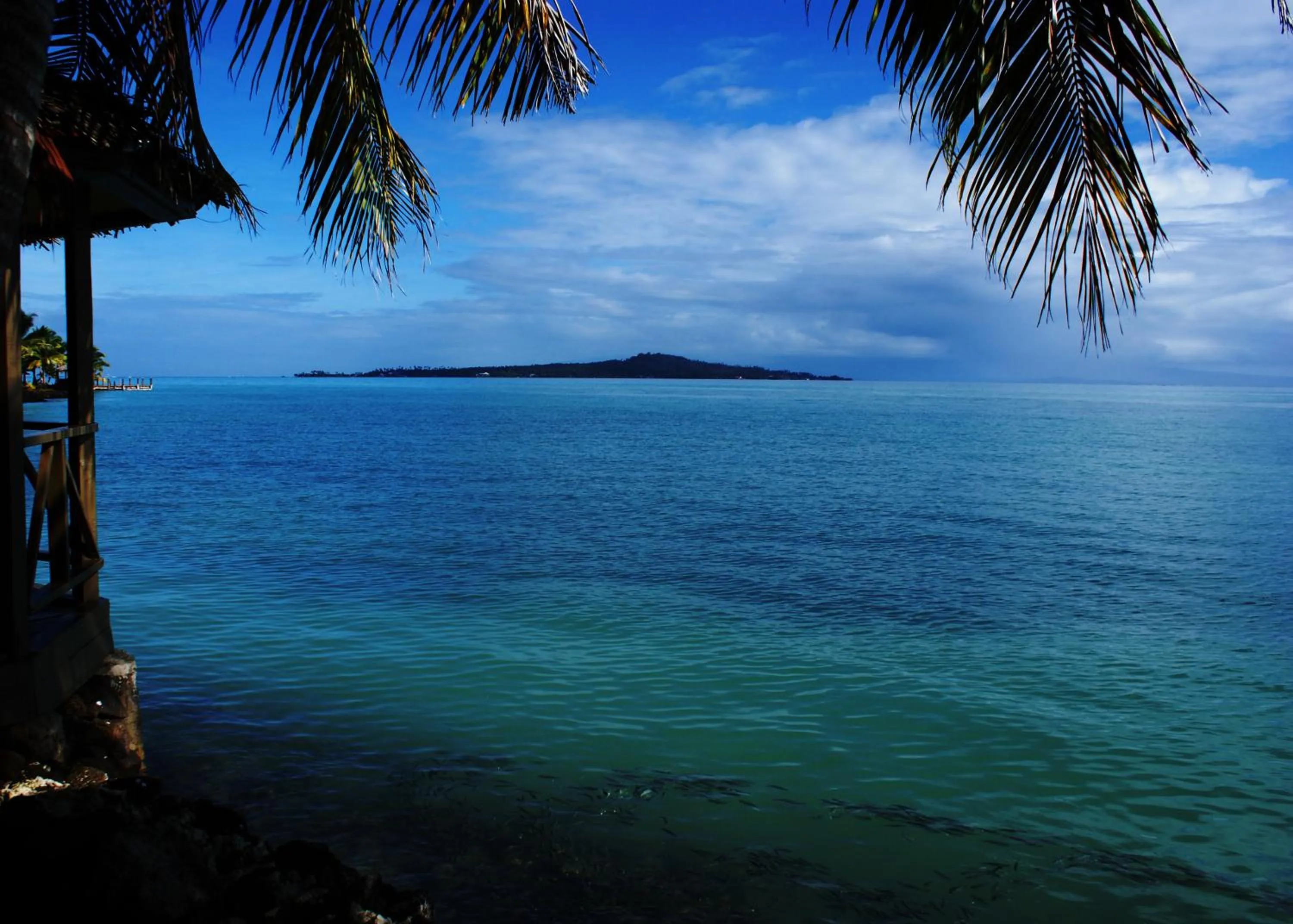 Balcony/Terrace in Le Vasa Resort