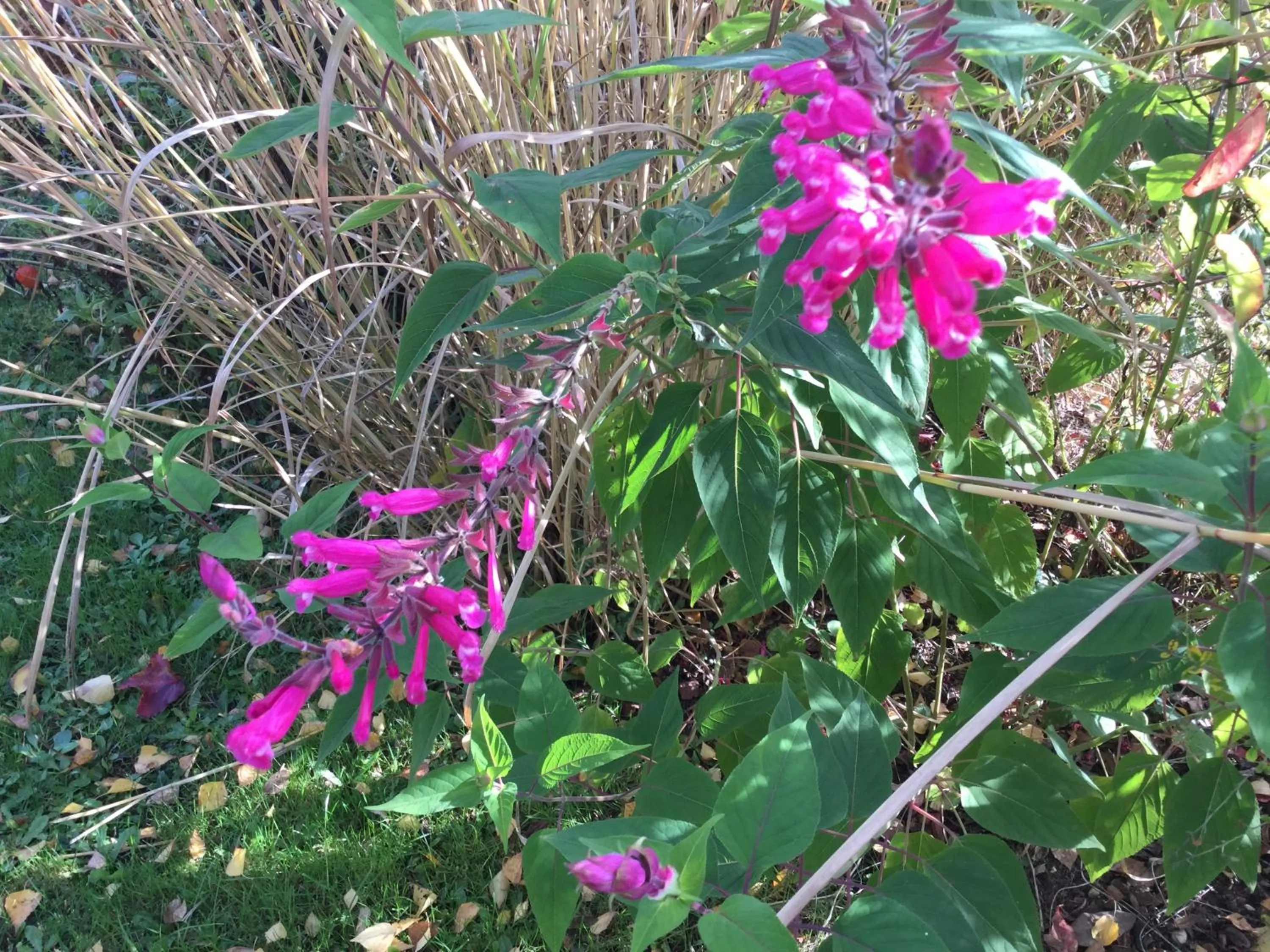 Chambres d'Hotes au Pays de Valencay en Berry