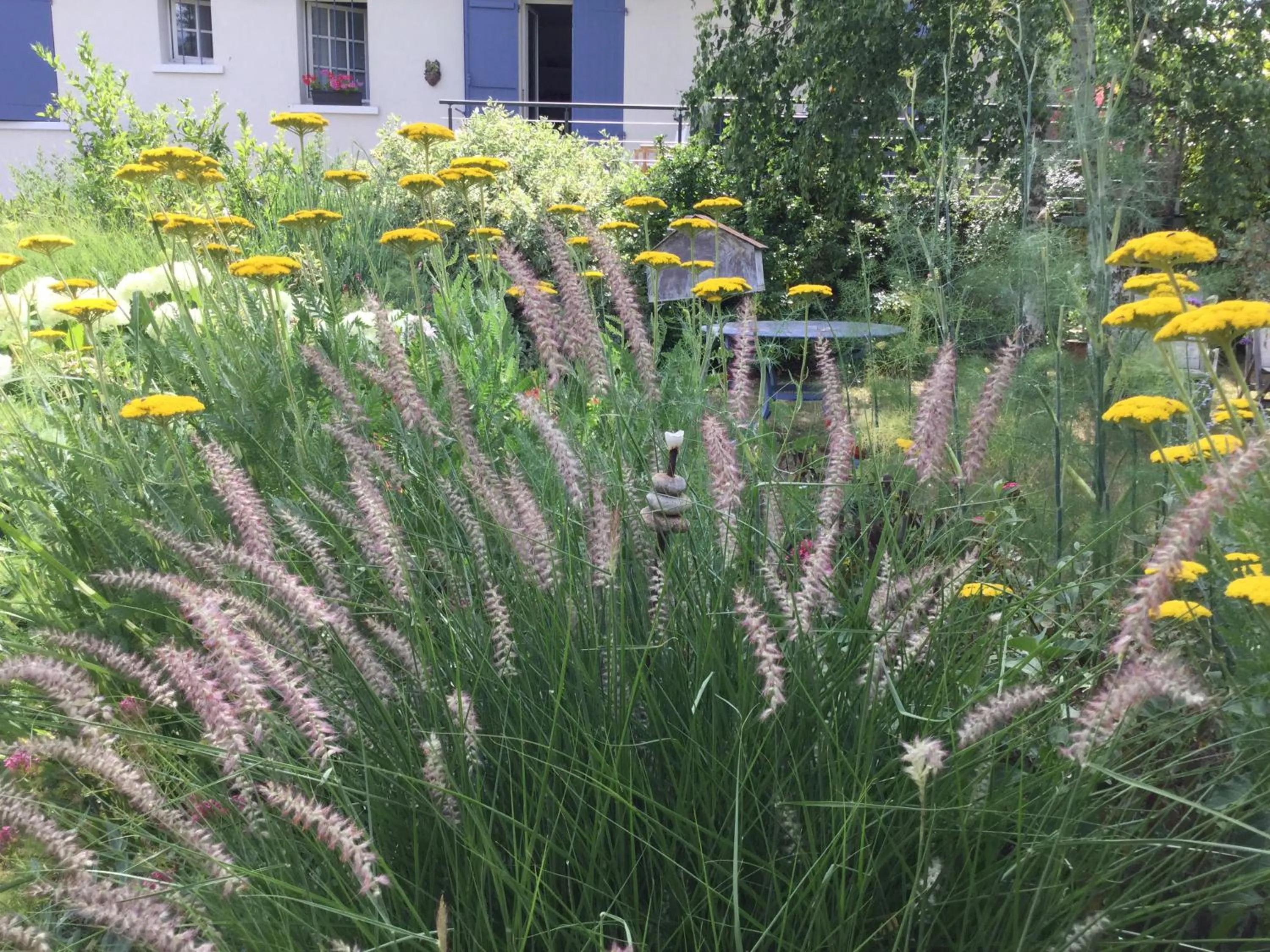 Garden in Chambres d'Hotes au Pays de Valencay en Berry