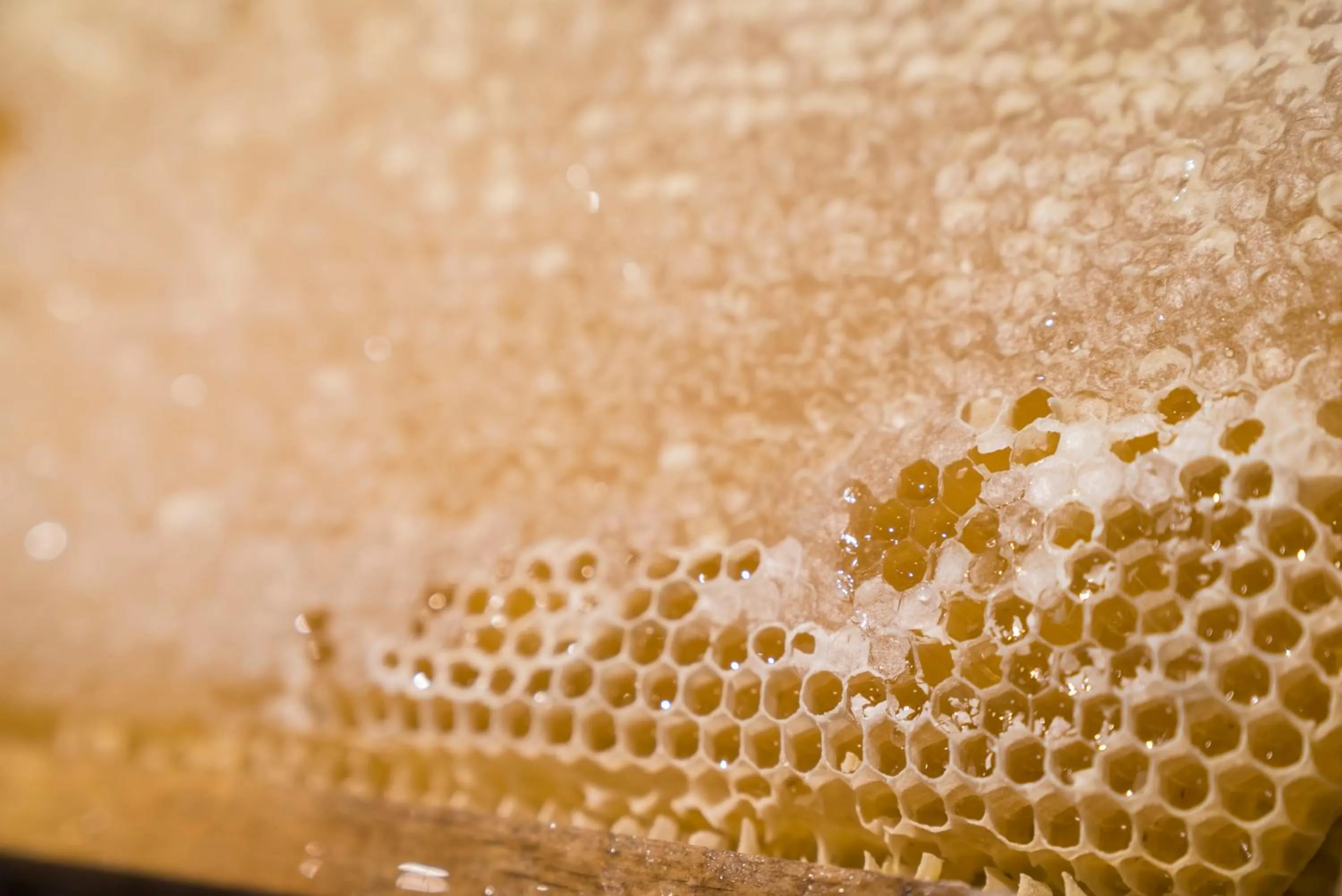 Buffet breakfast in Hotel Jägerheim 3S