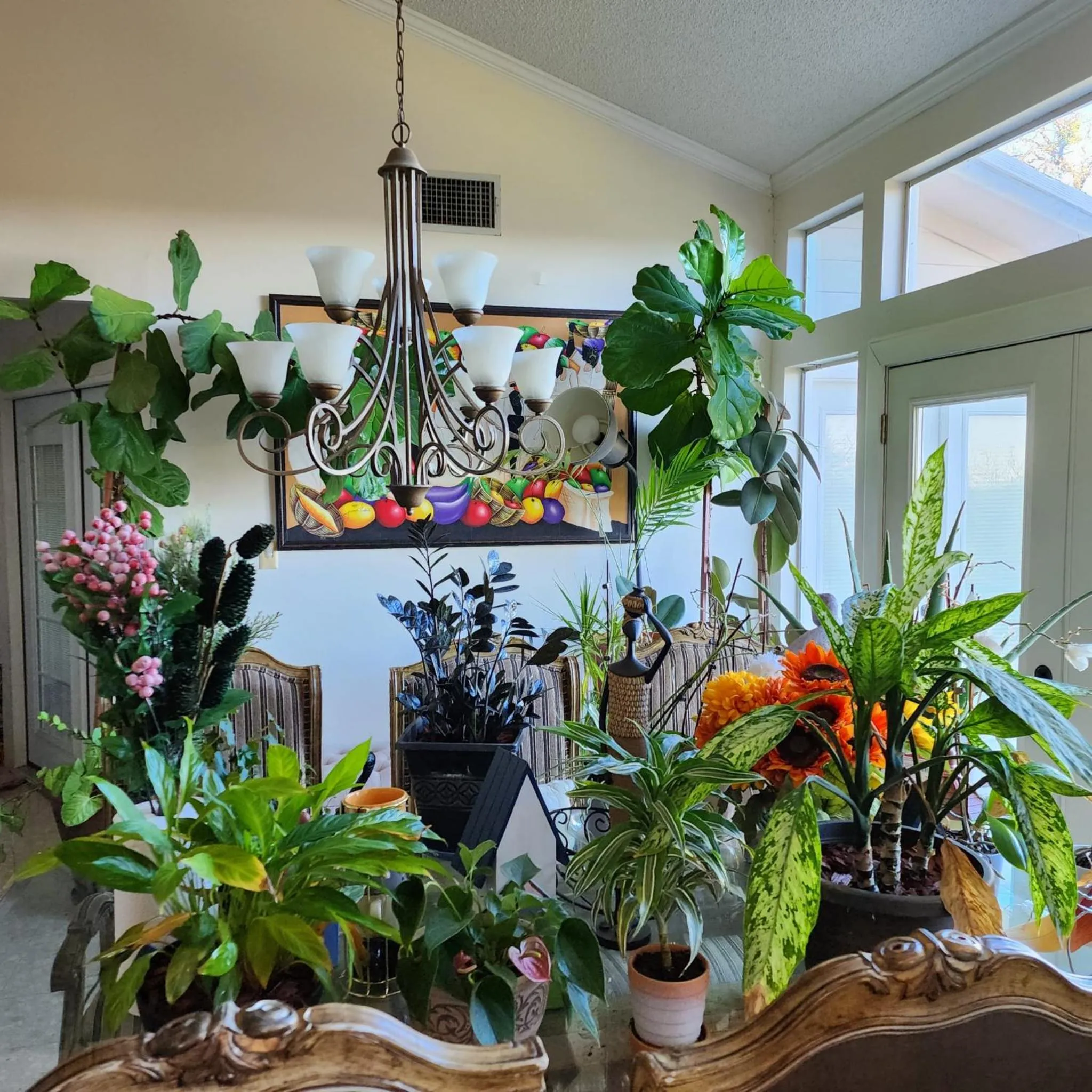 Kitchen or kitchenette in Hilltop Hacienda