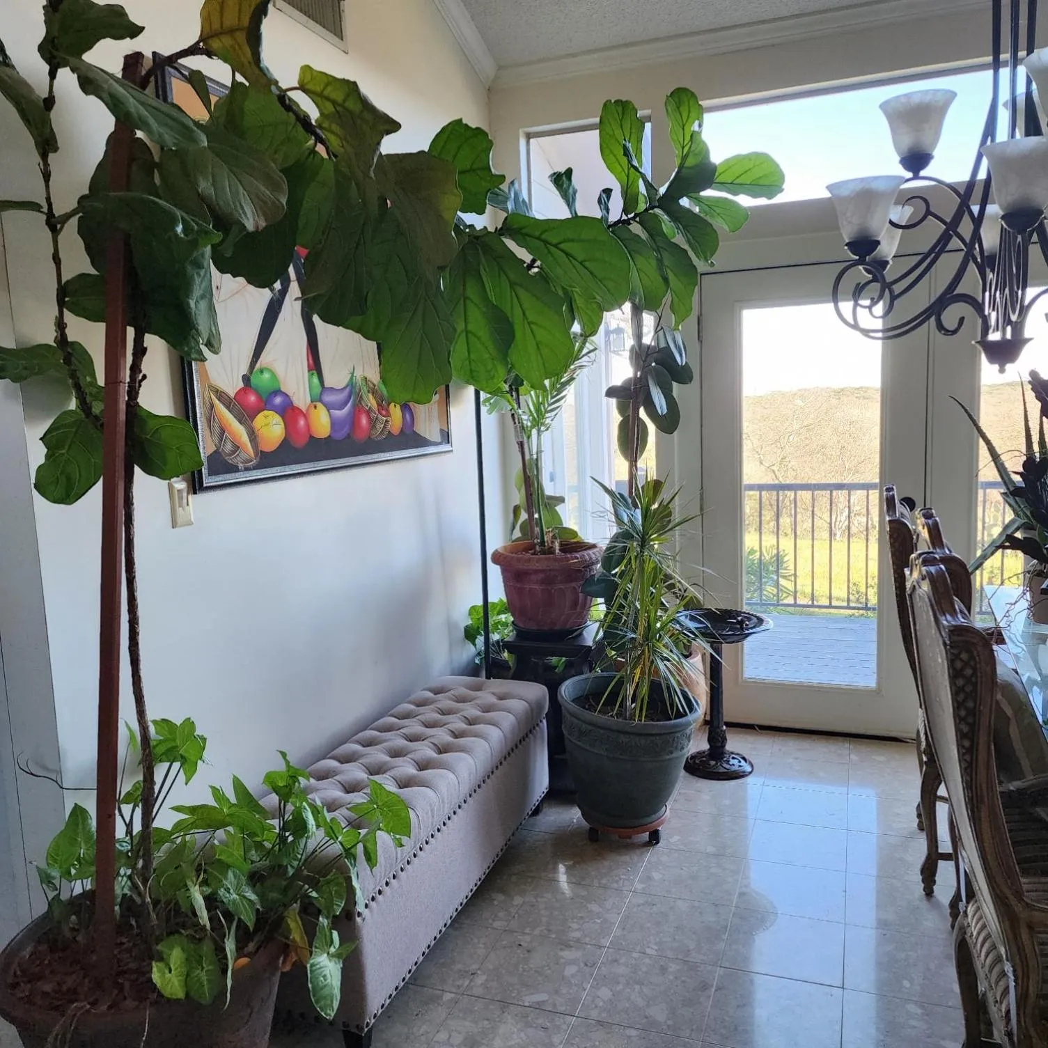 Property building in Hilltop Hacienda