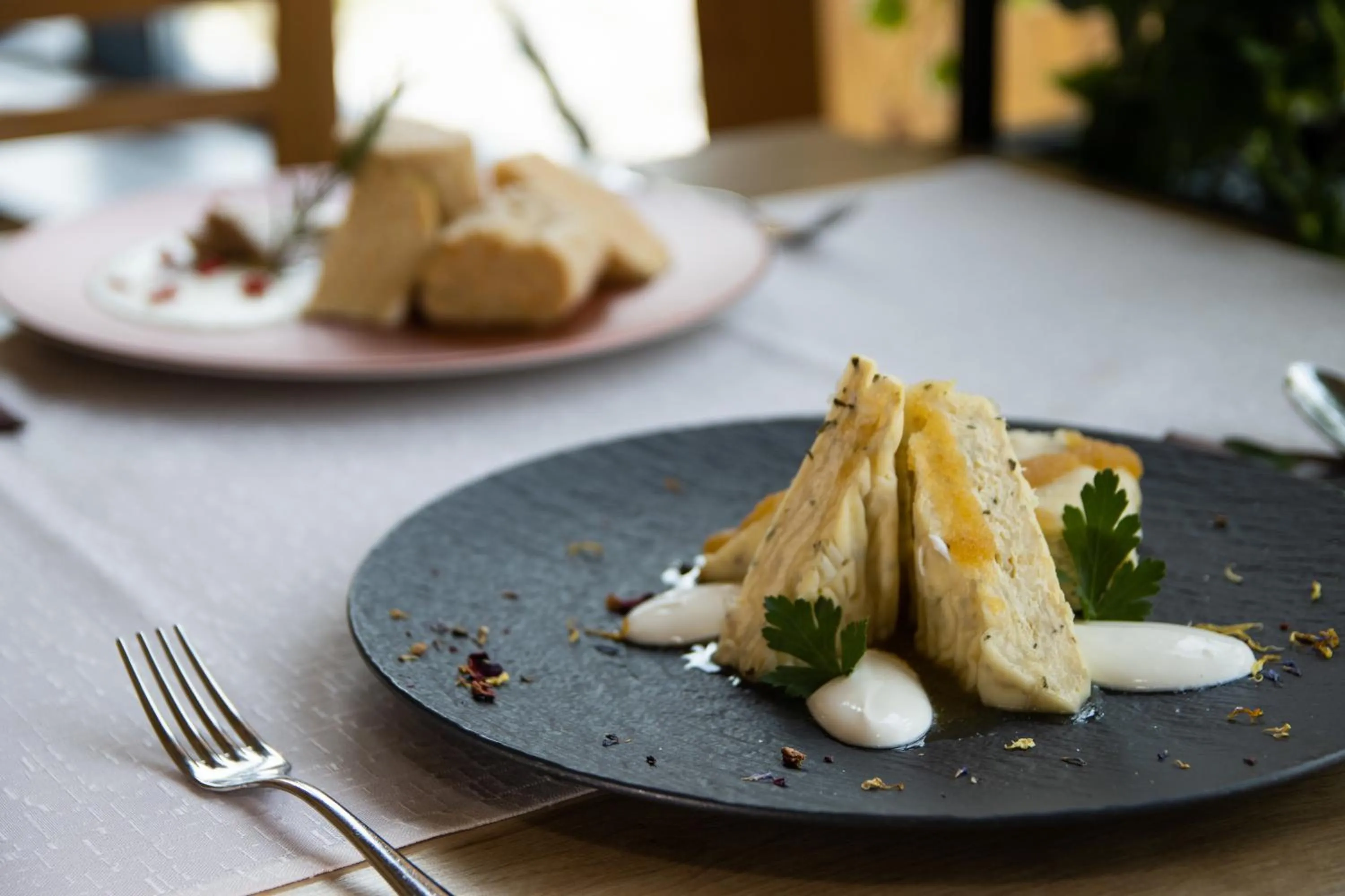 Eco Terme Snovik, Kamnik