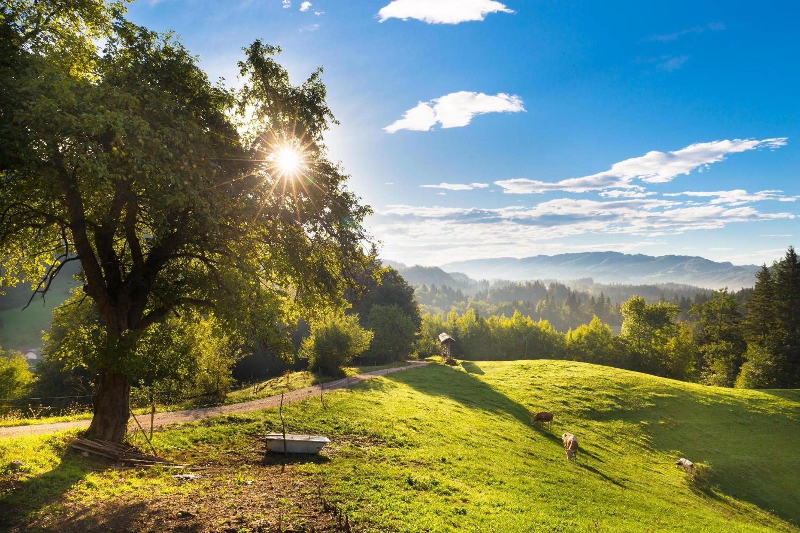 Hiking in Eco Terme Snovik, Kamnik