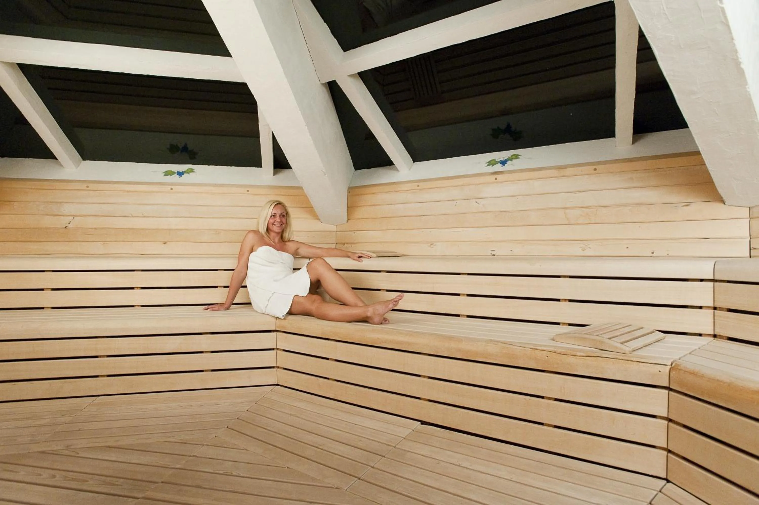 Sauna in Terme Zreče – Vile Terme Zreče