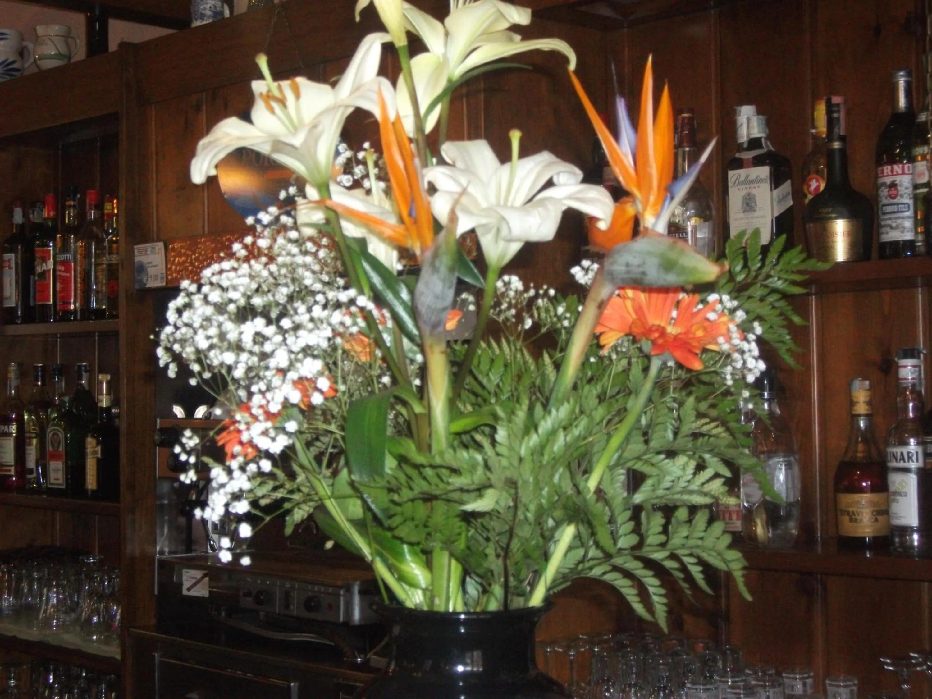 Garden in Albergo Breglia