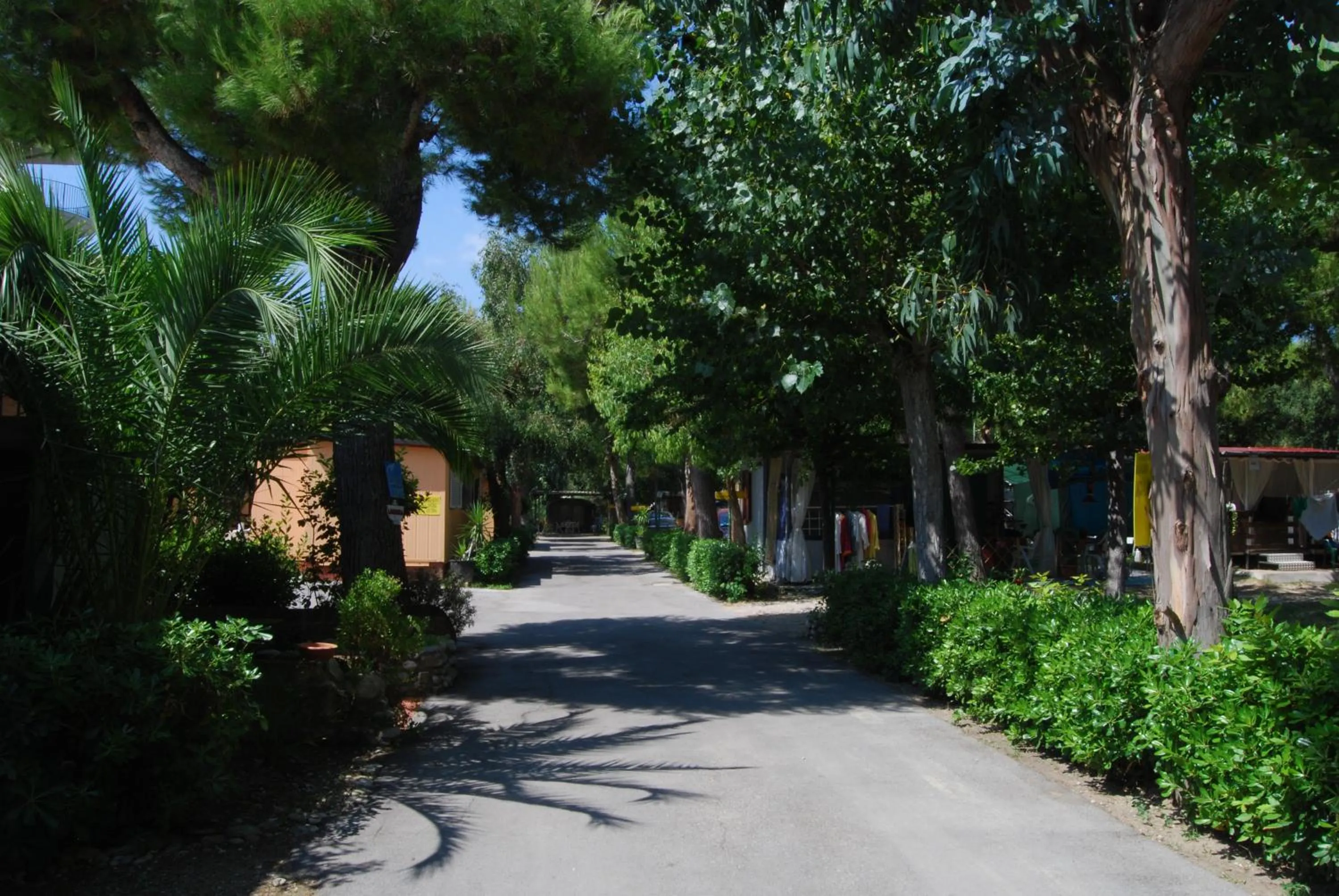 Street view in Villaggio Verde Cupra