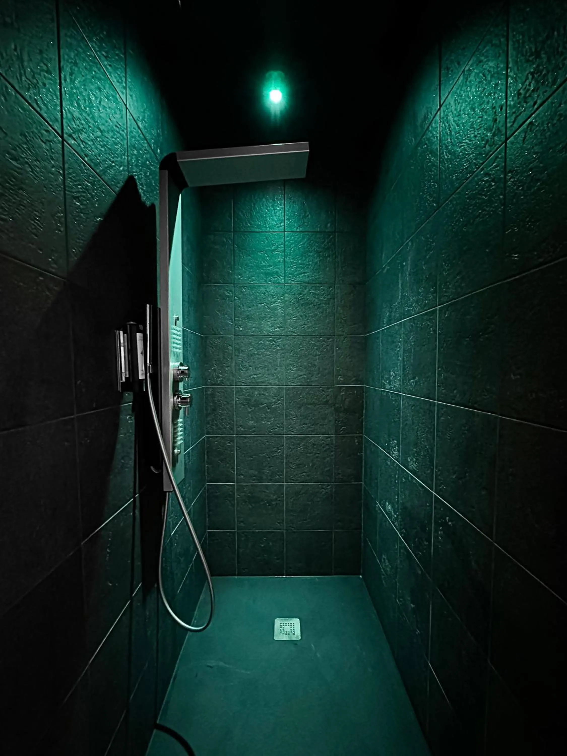 Shower in HOTEL & SPA Le Renard Centre