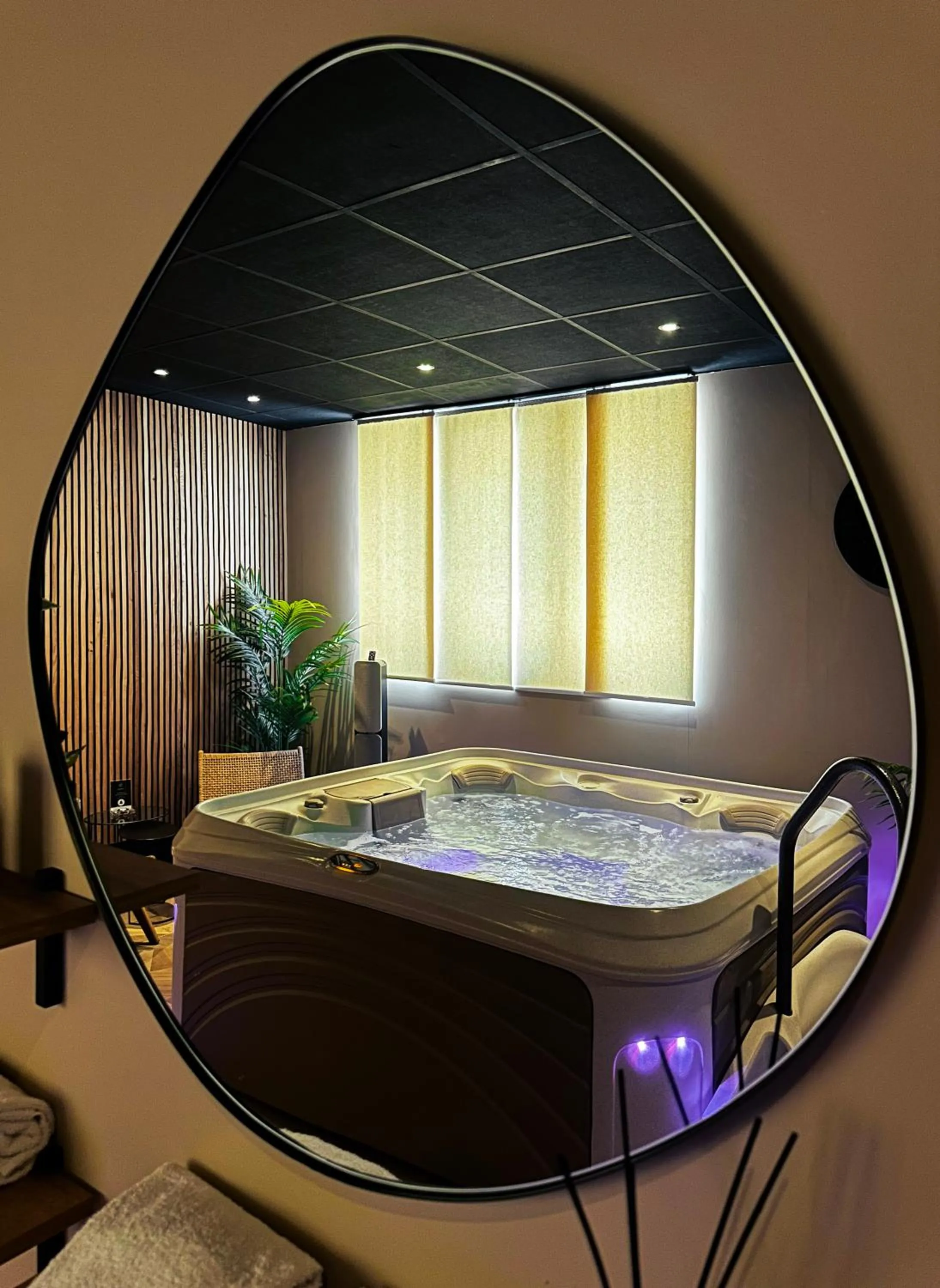 Hot Tub in HOTEL & SPA Le Renard Centre