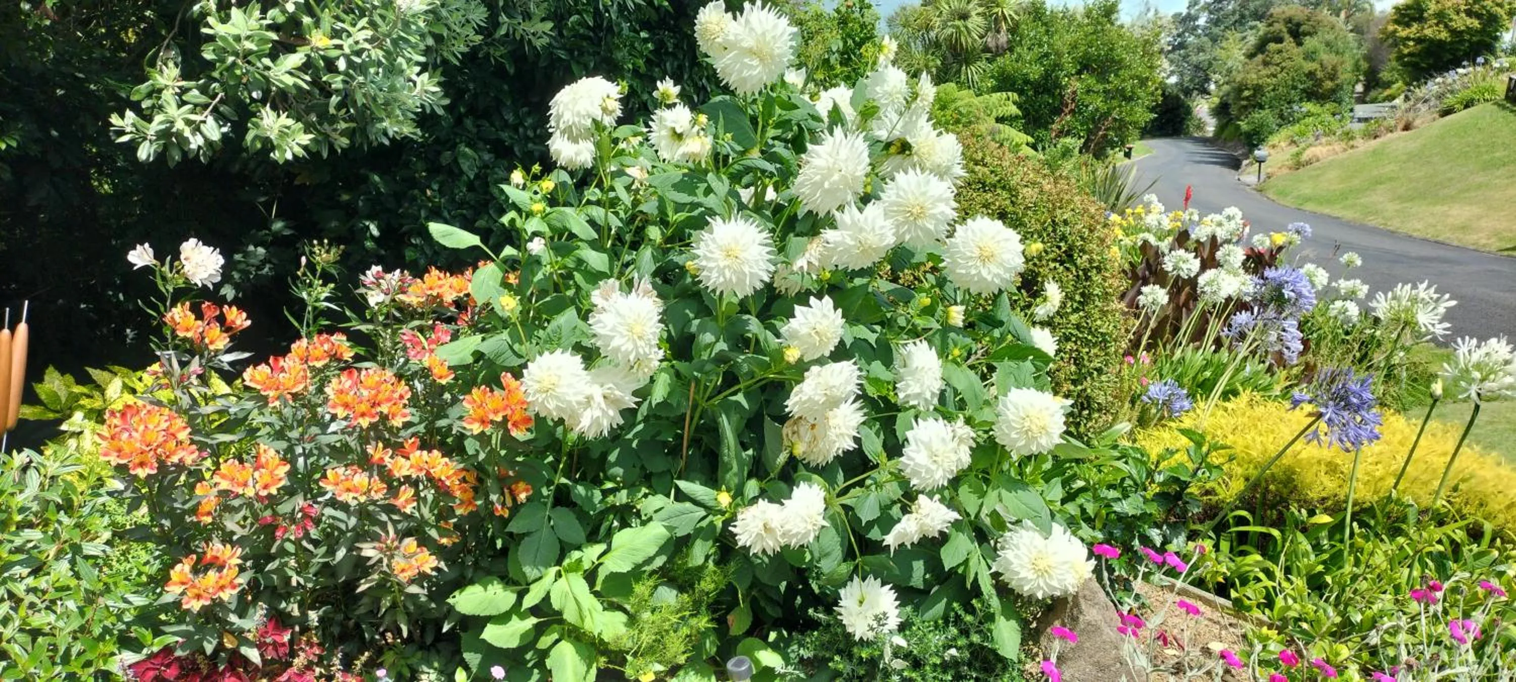 Garden view in Bird Haven