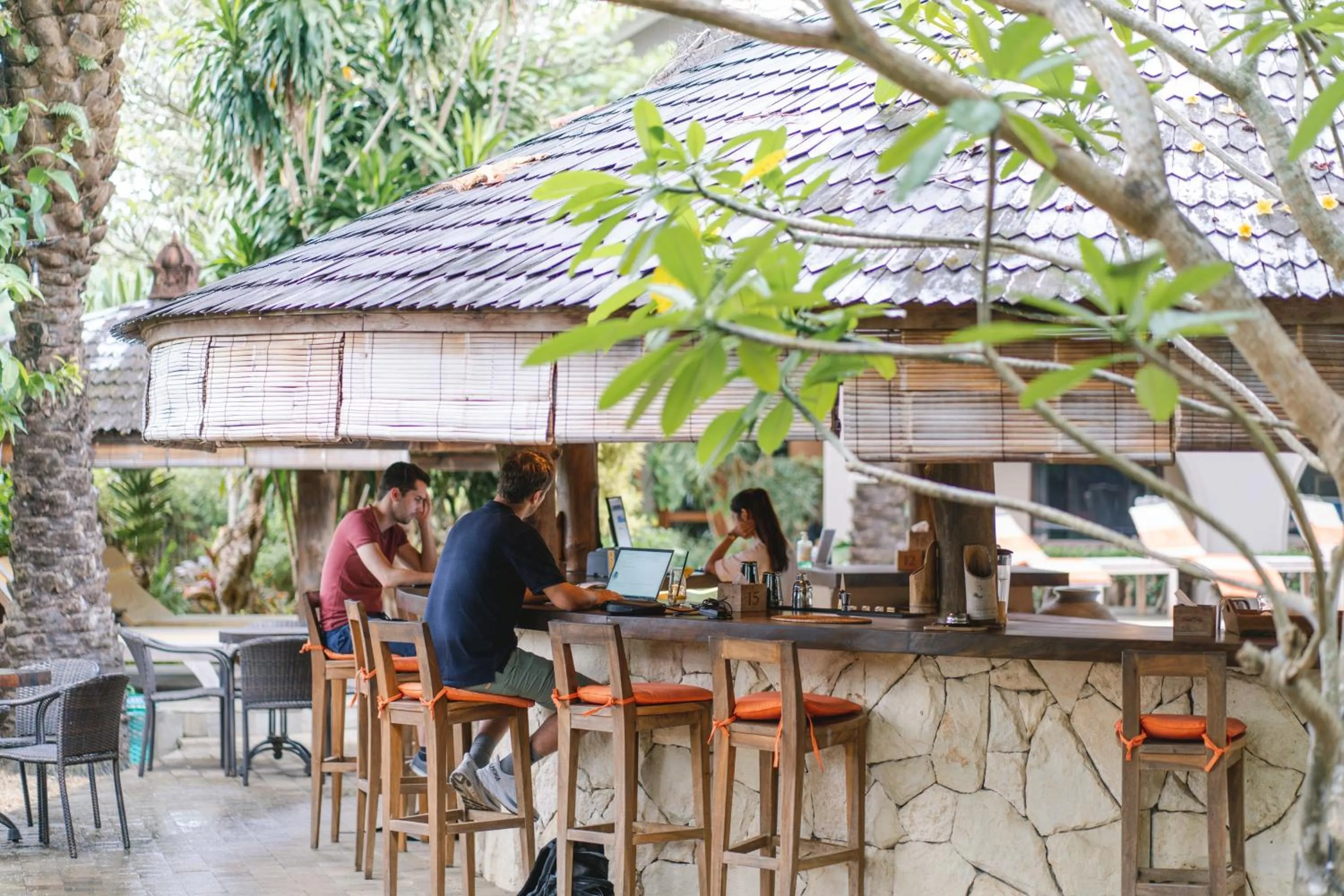 Lounge or bar in Coconut Lodge Resort