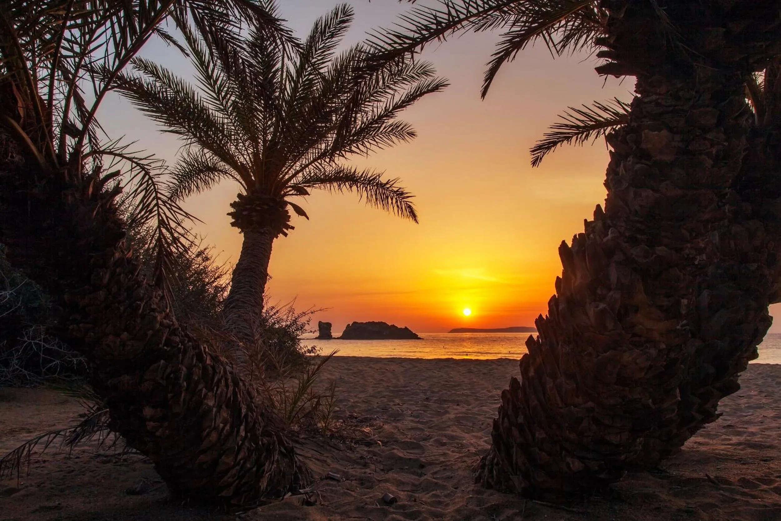 Natural landscape in Minos Apartments & Studios