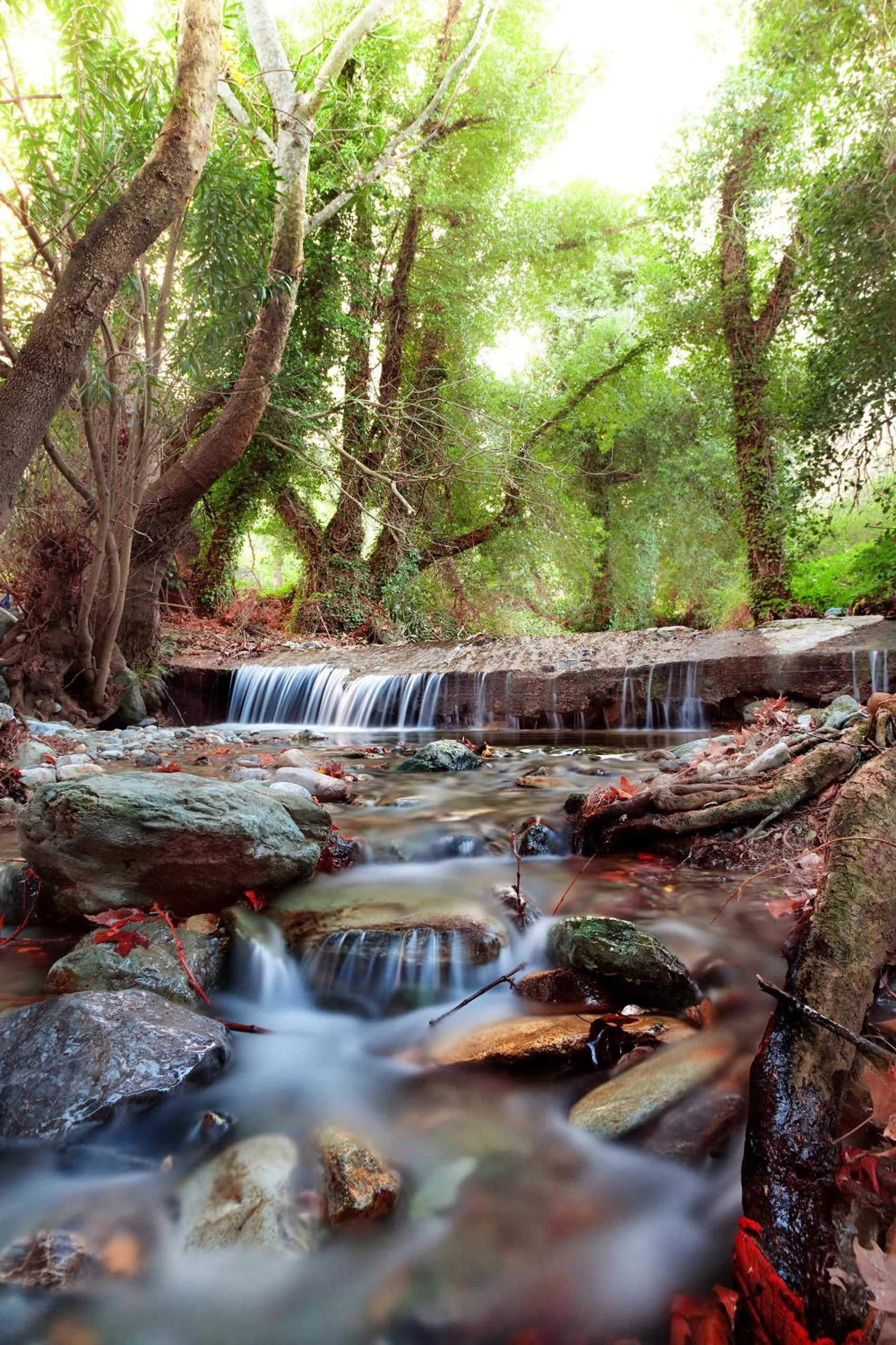 Minos Apartments & Studios