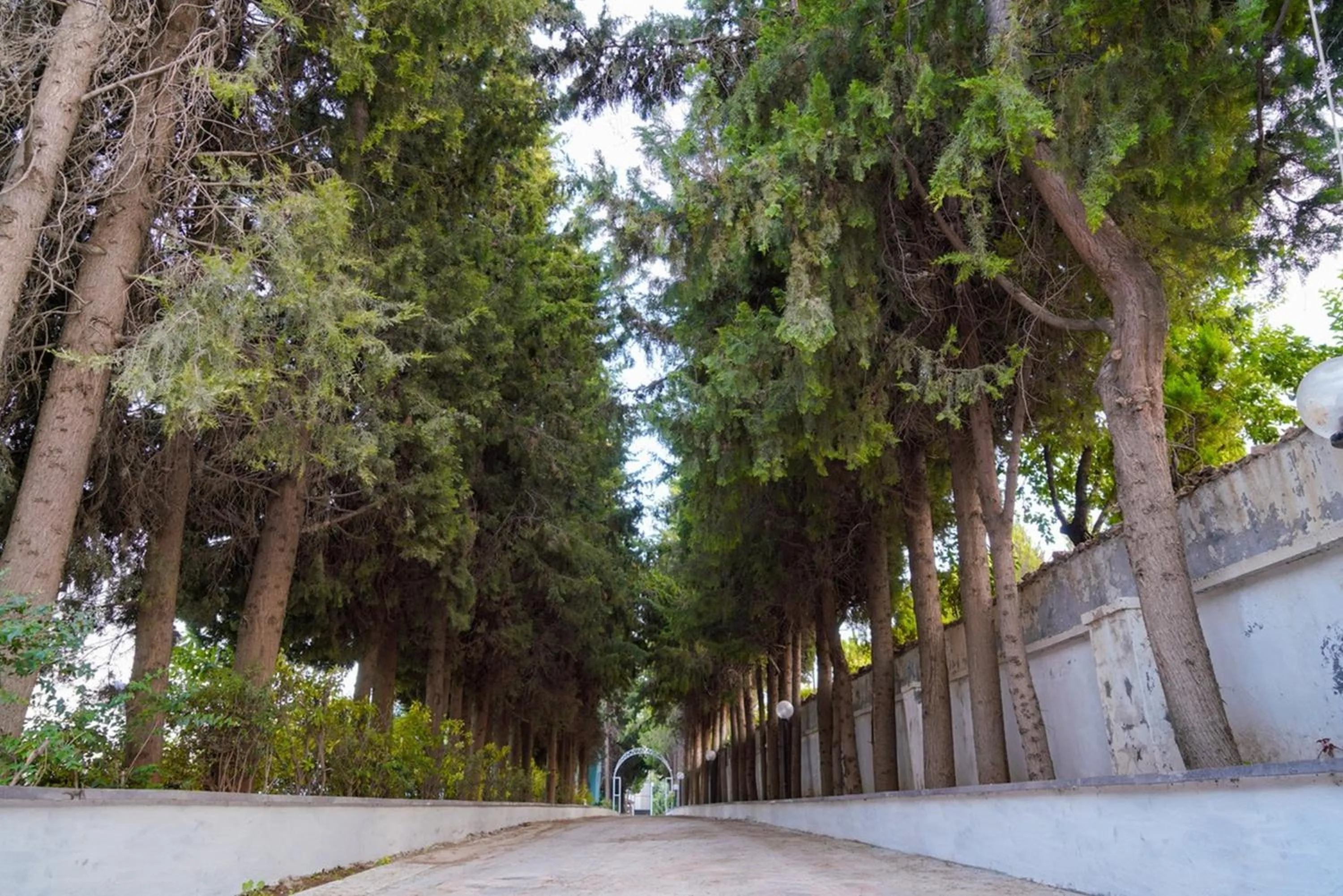 Garden in Ugurlu Termal Tatil Köyü