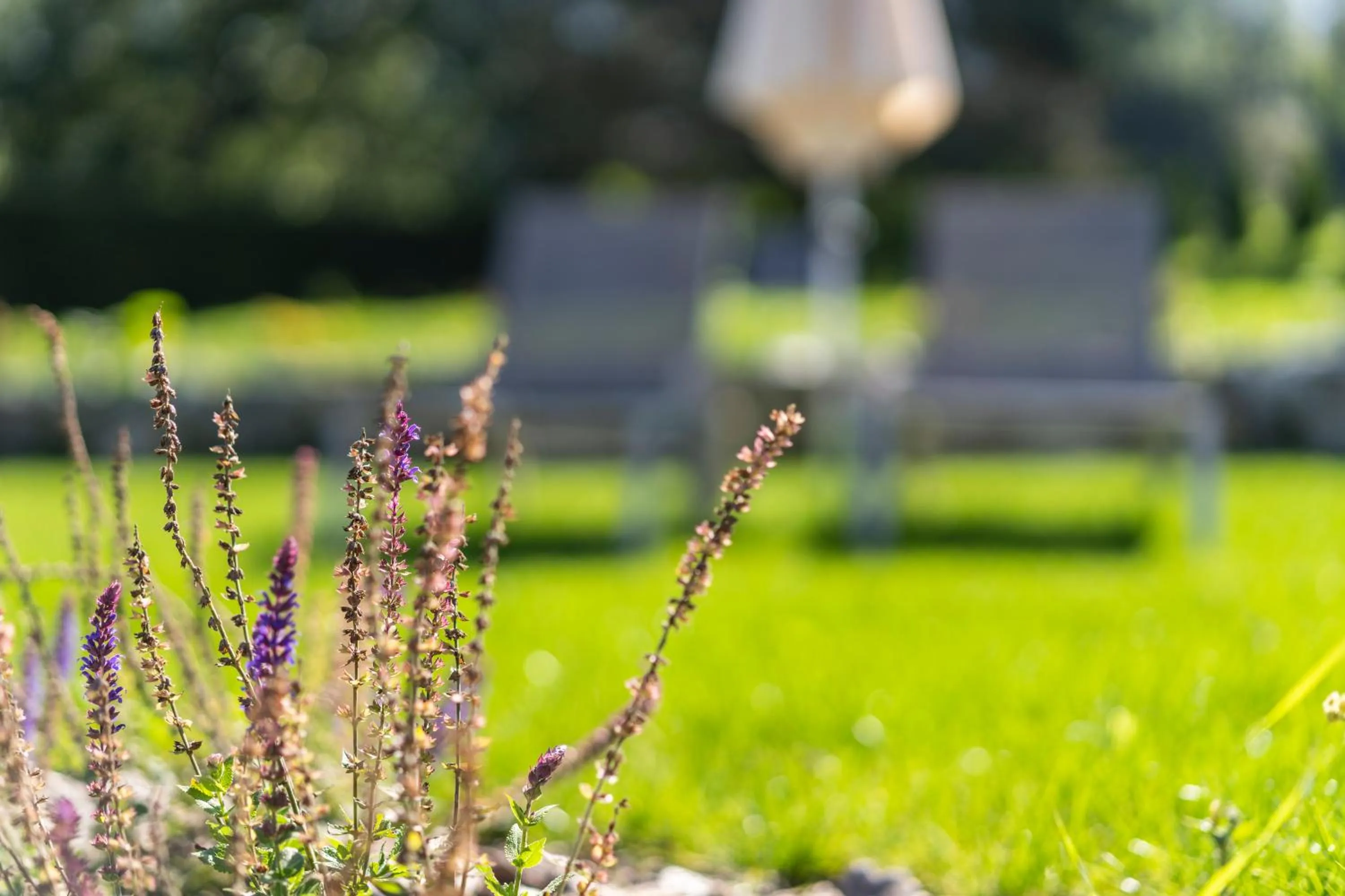 Garden in Hotel Reischach