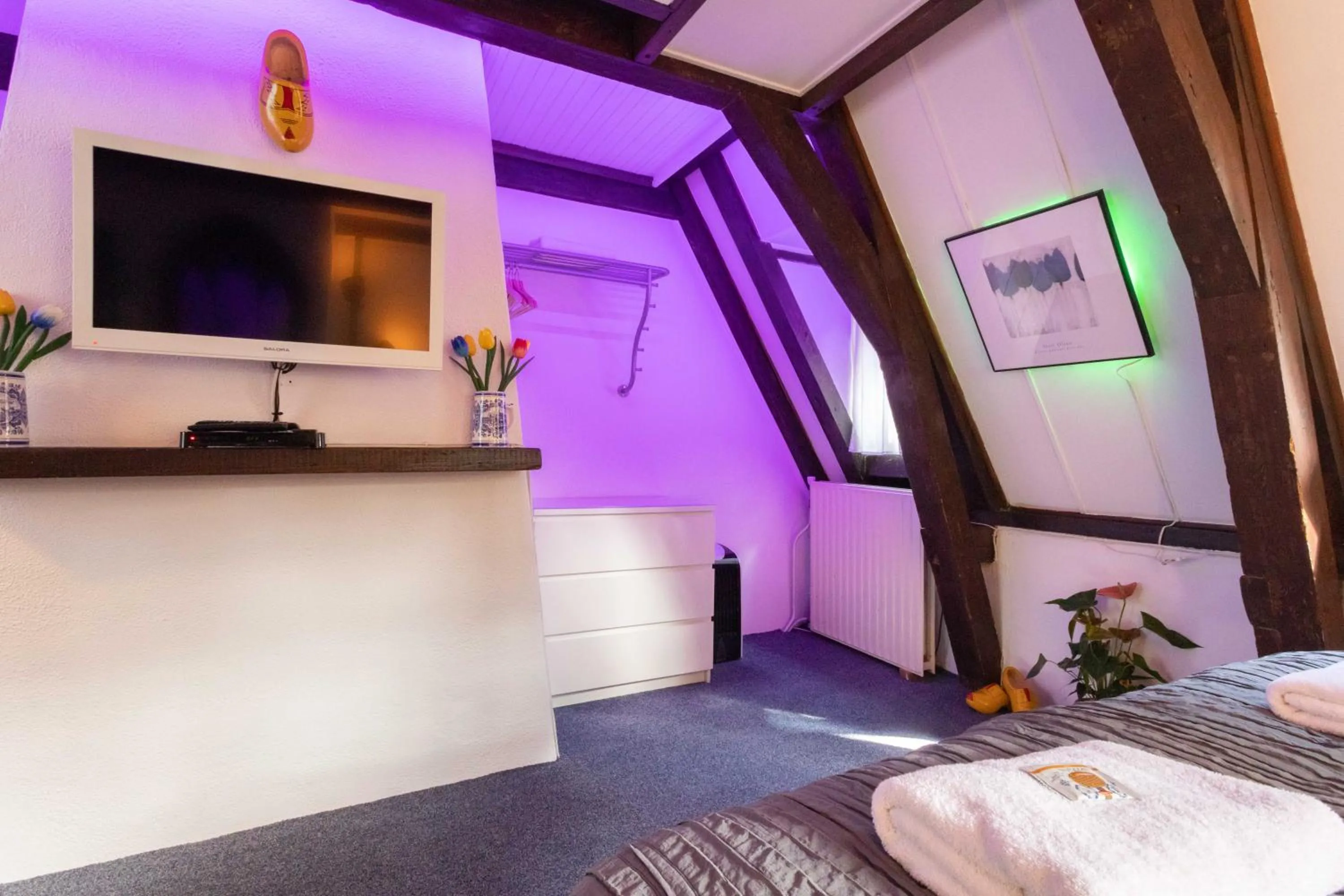 TV and multimedia, Bed in Tulip of Amsterdam