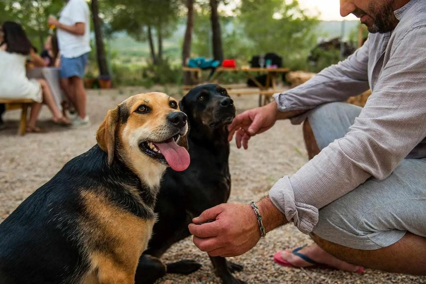 Animals in B&B Masía Aitona