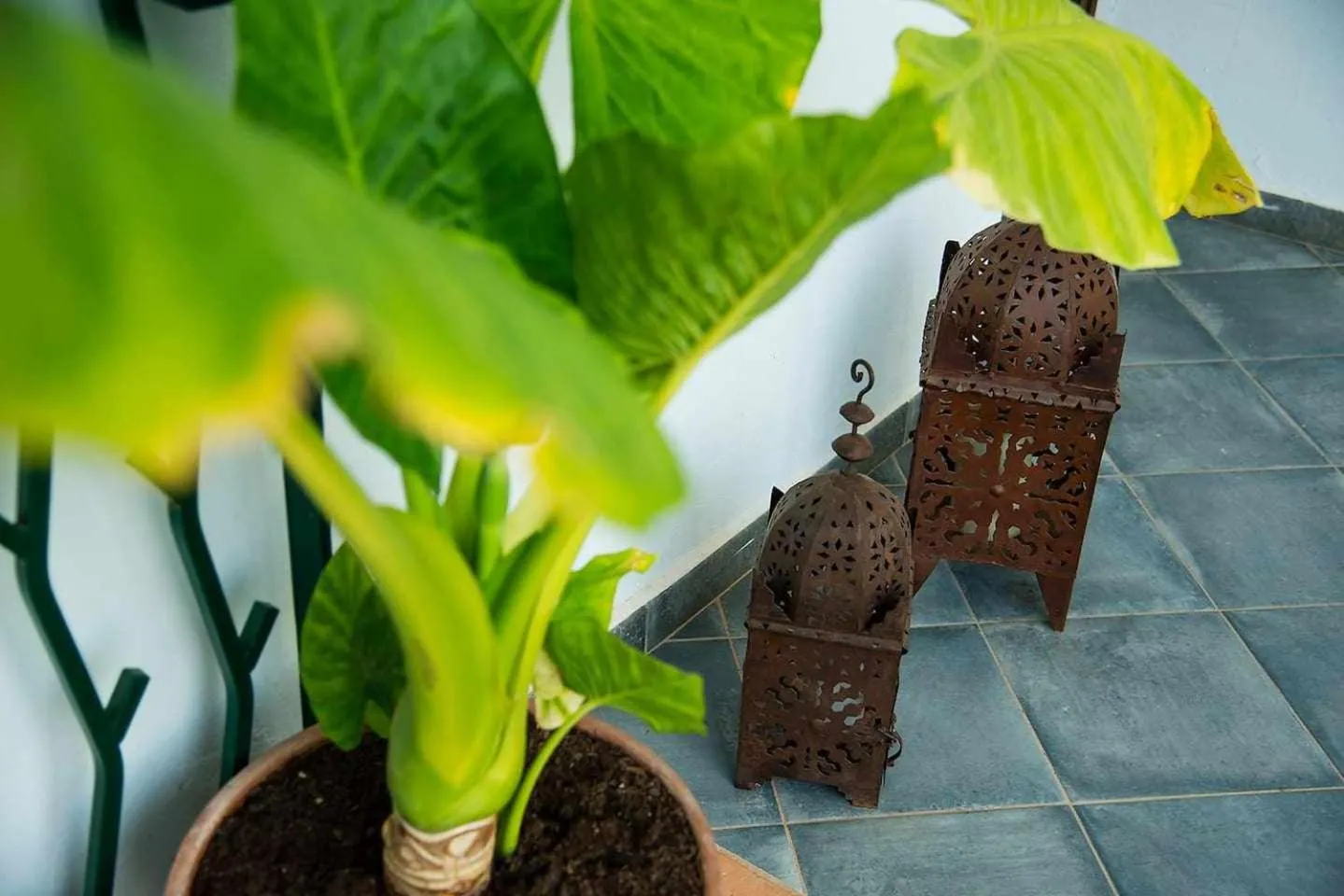 Patio in B&B Masía Aitona