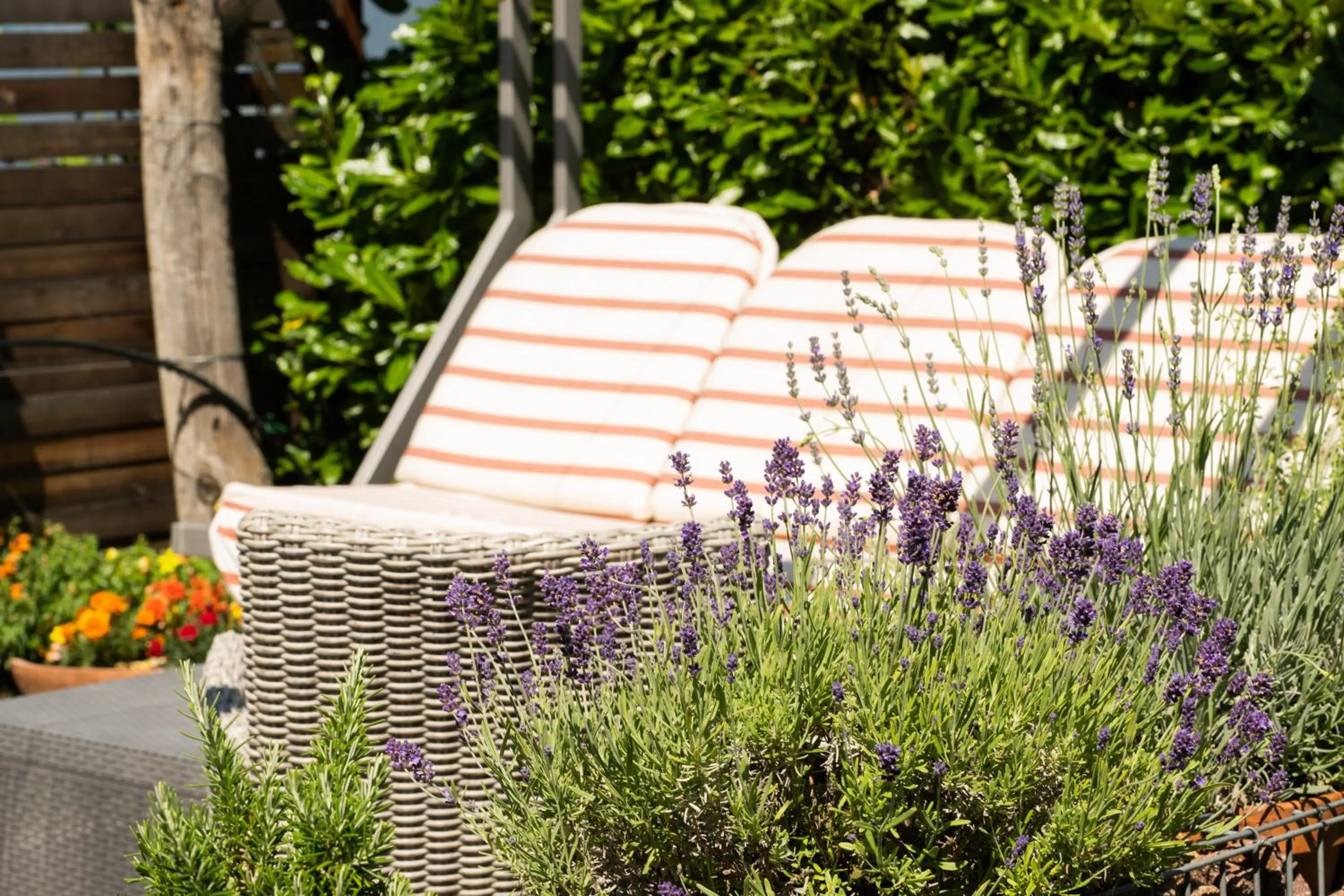 Ferienwohnungen Lanserhof