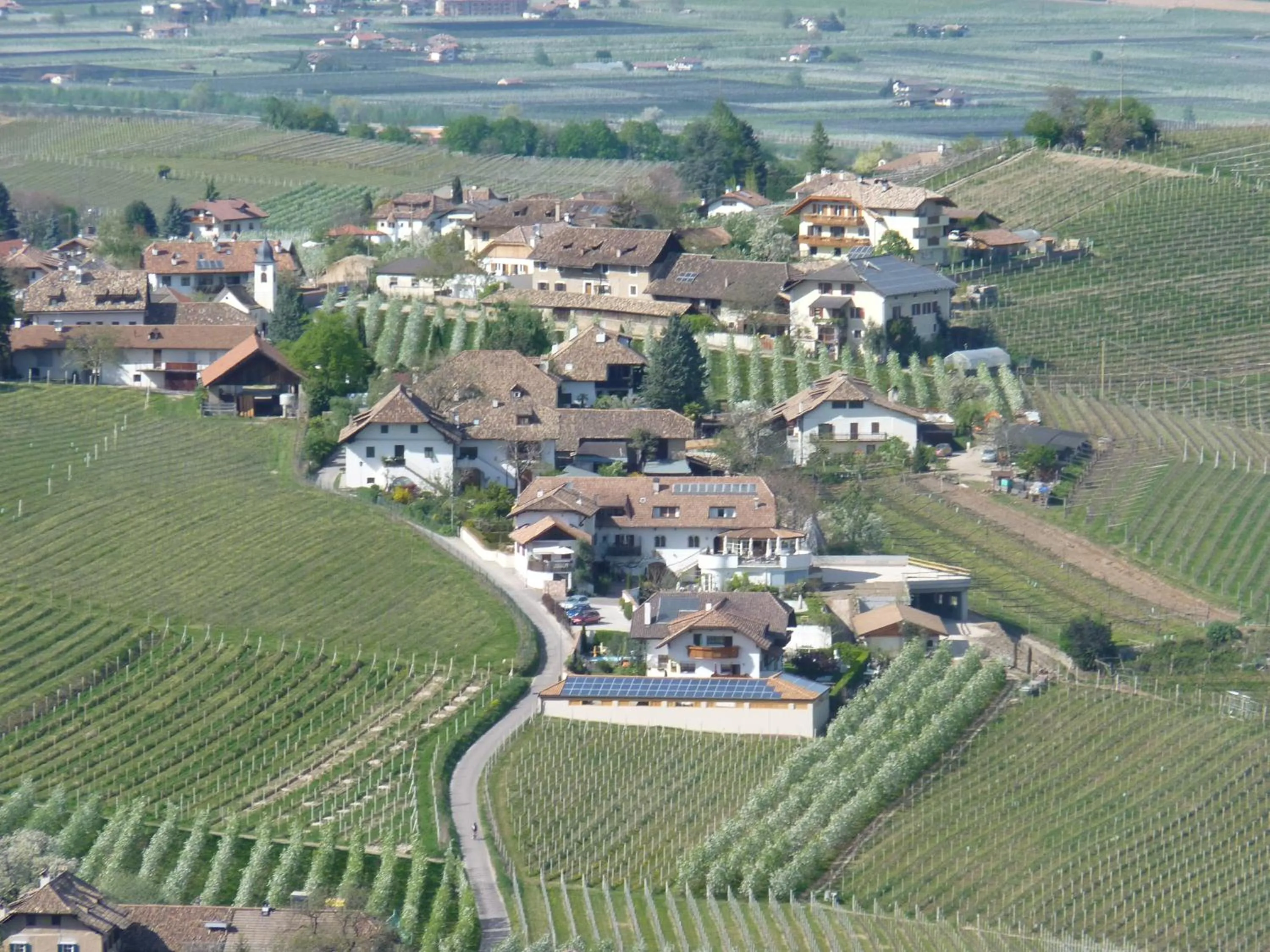 Area and facilities in Ferienwohnungen Lanserhof