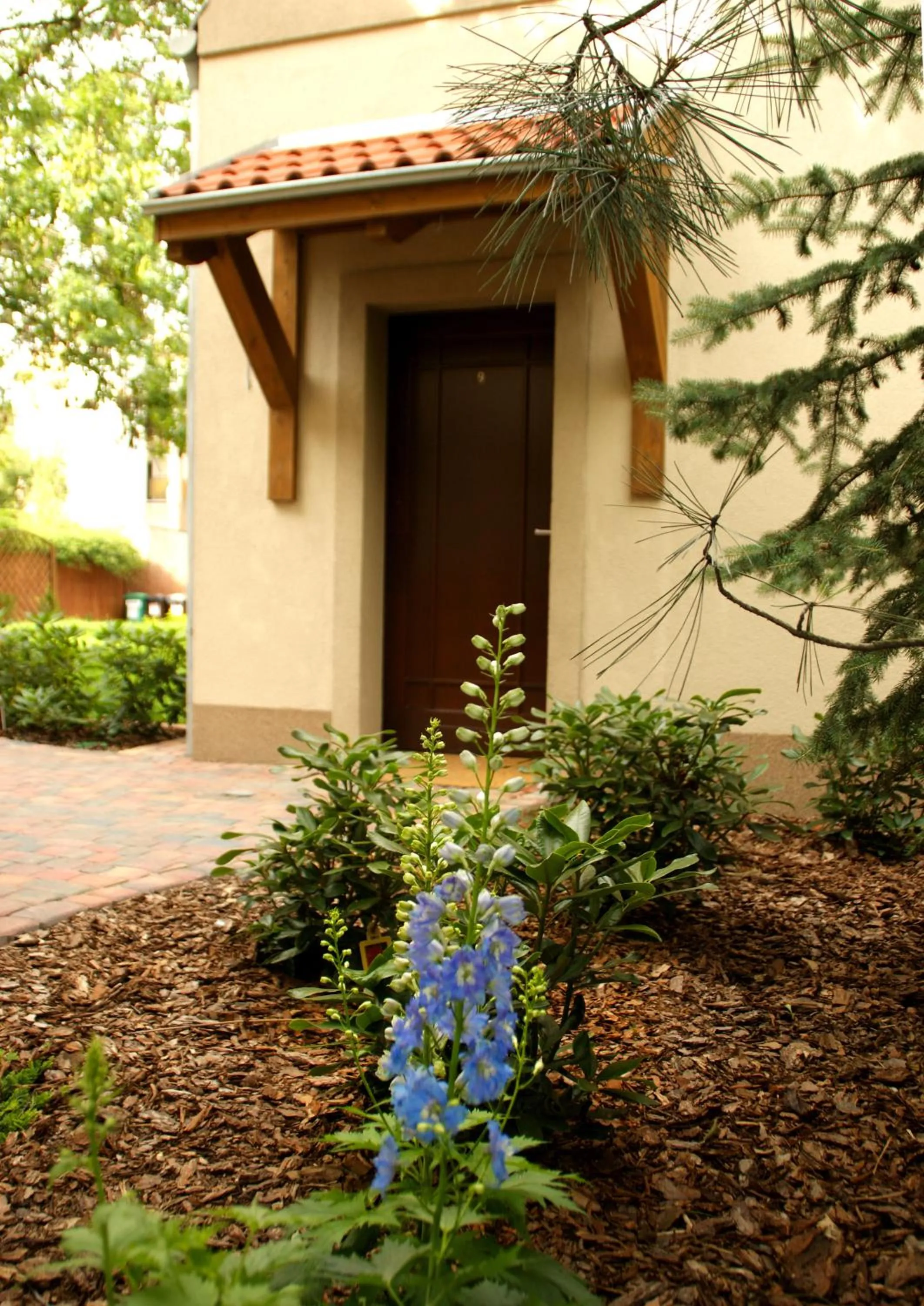Garden in City Center House Elephant
