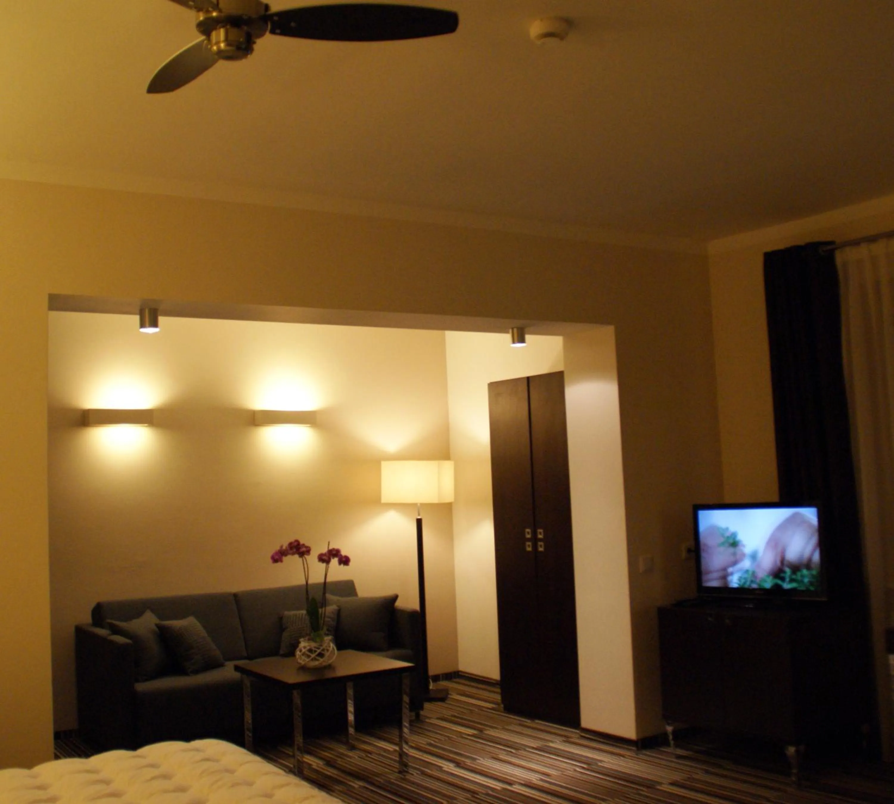 TV and multimedia in City Center House Elephant