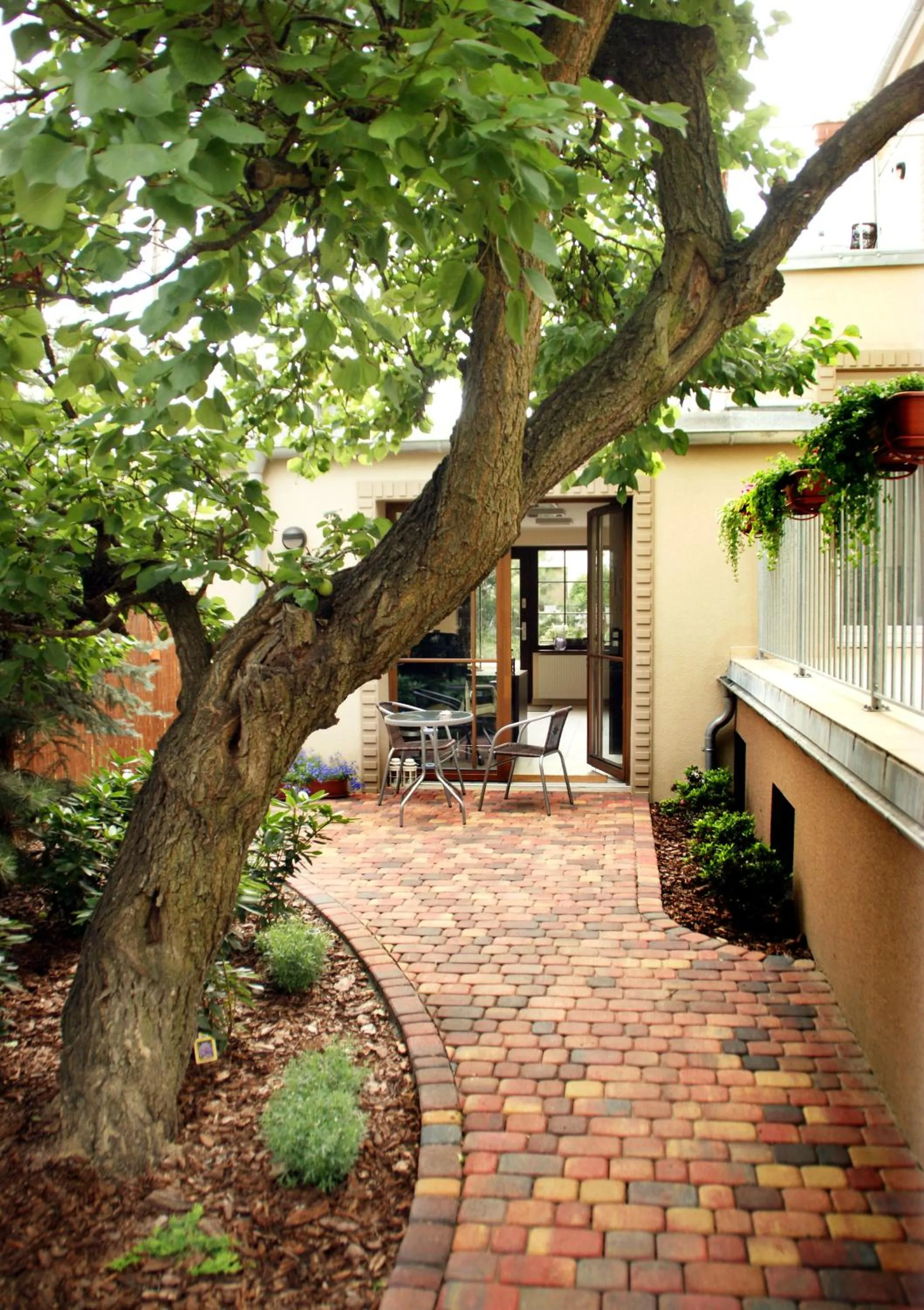 Patio in City Center House Elephant