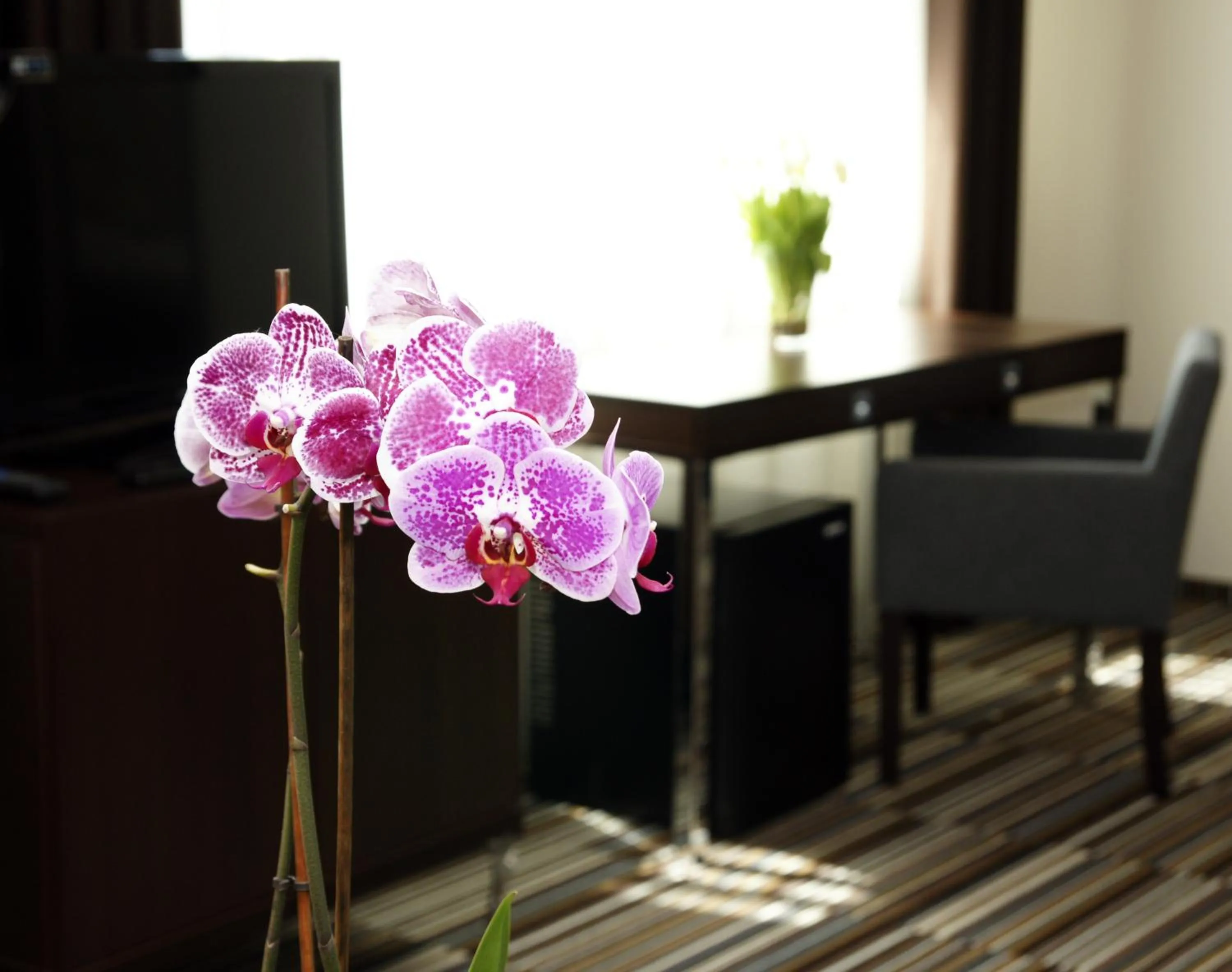 Decorative detail in City Center House Elephant