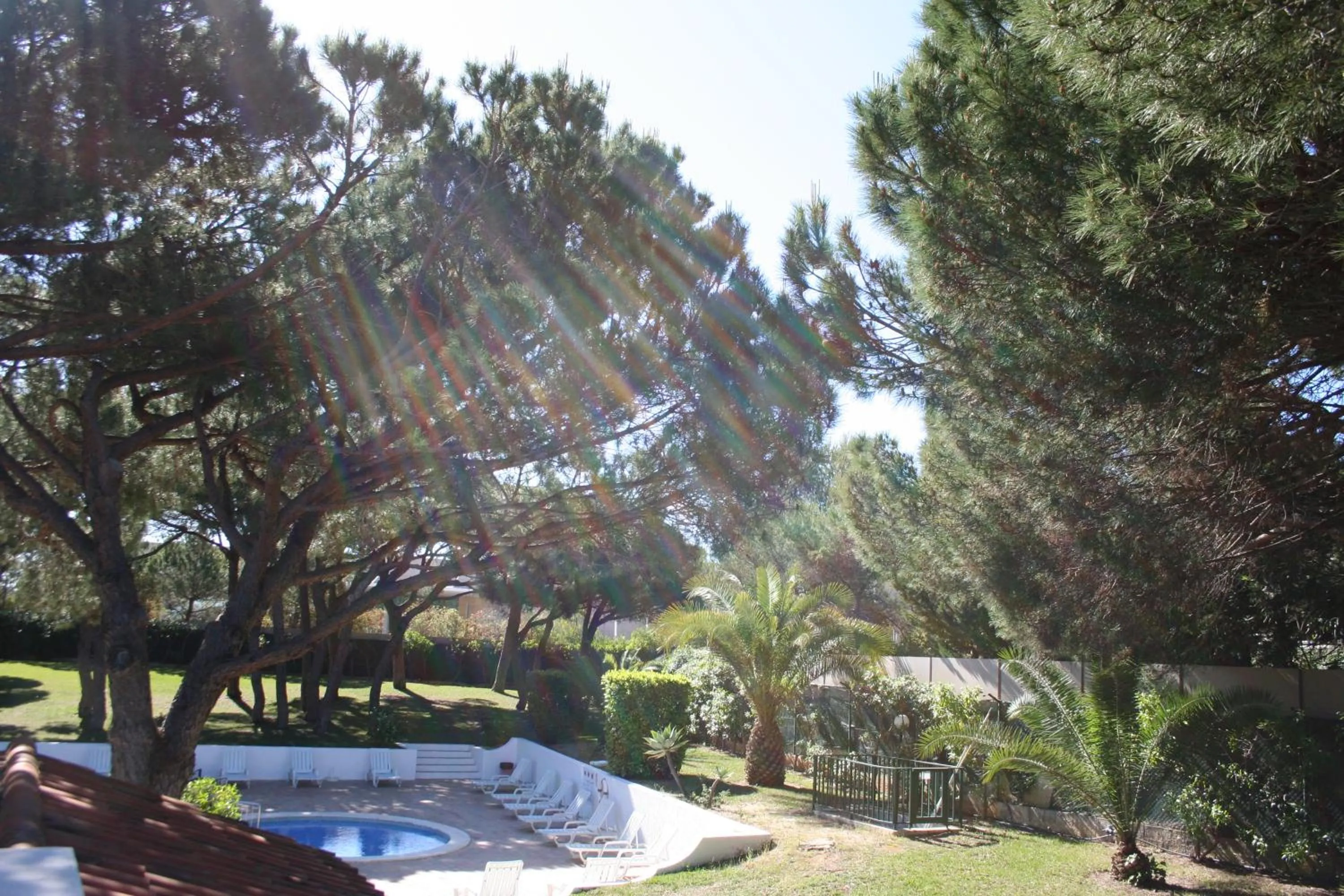 Garden in Aldeia Da Falesia