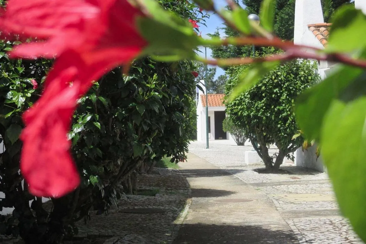 Garden in Aldeia Da Falesia