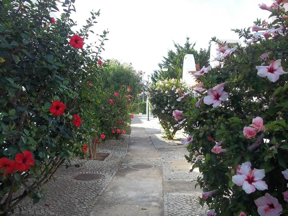 Garden in Aldeia Da Falesia