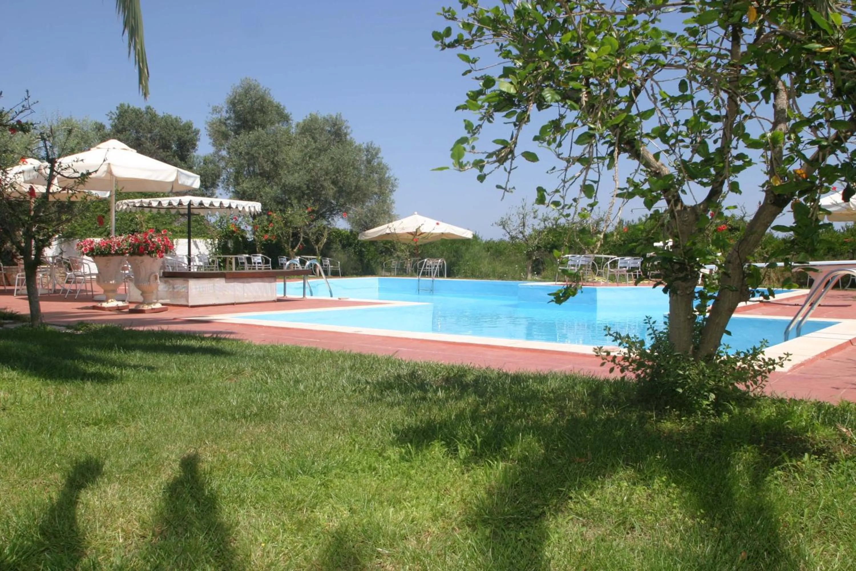 Garden in Oasis Guesthouse