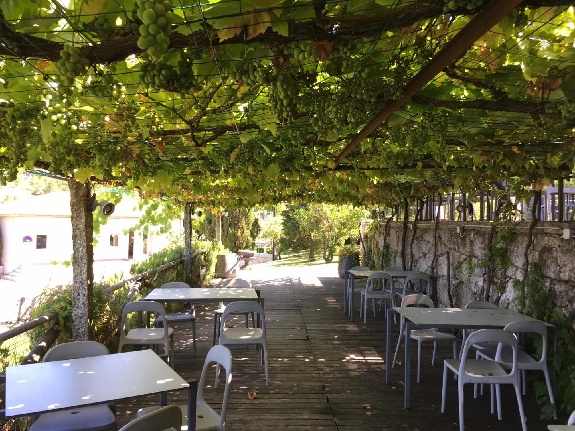 Restaurant/places to eat in Quinta das Mineirinhas