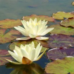 Other in Quinta das Mineirinhas