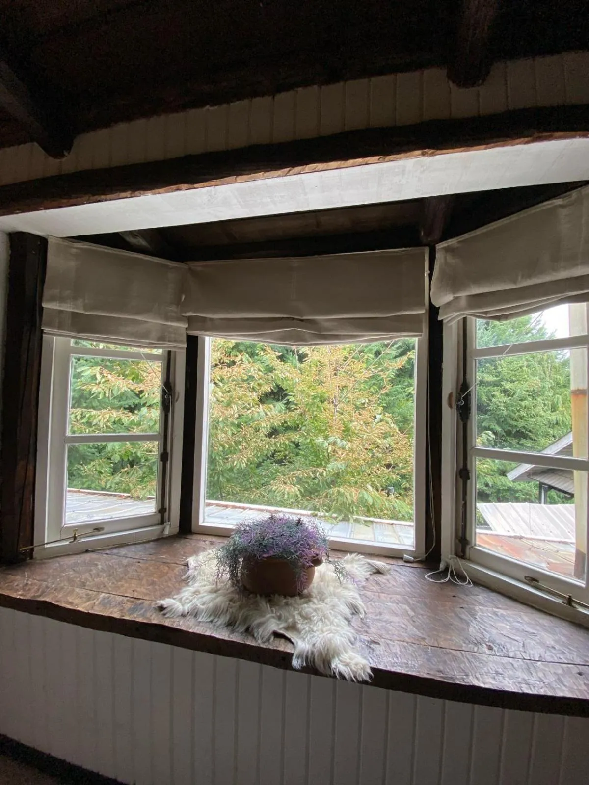 Garden view in The Patagonian Lodge