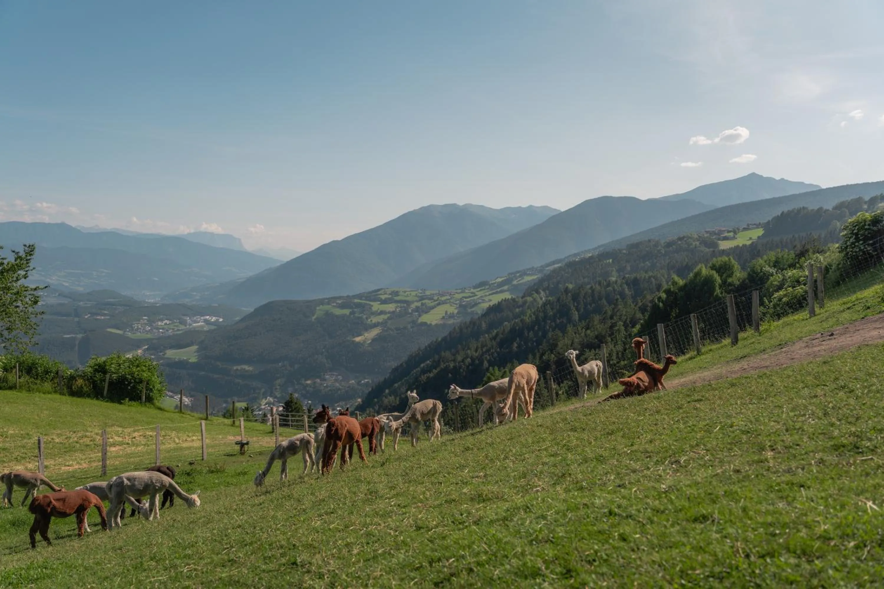 Natural landscape in Panoramahotel Huberhof